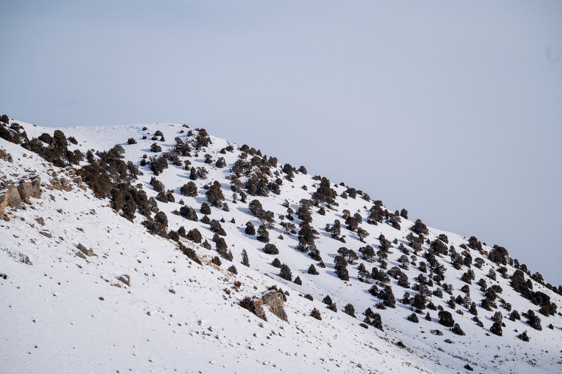 Jackson Hole, Wyoming