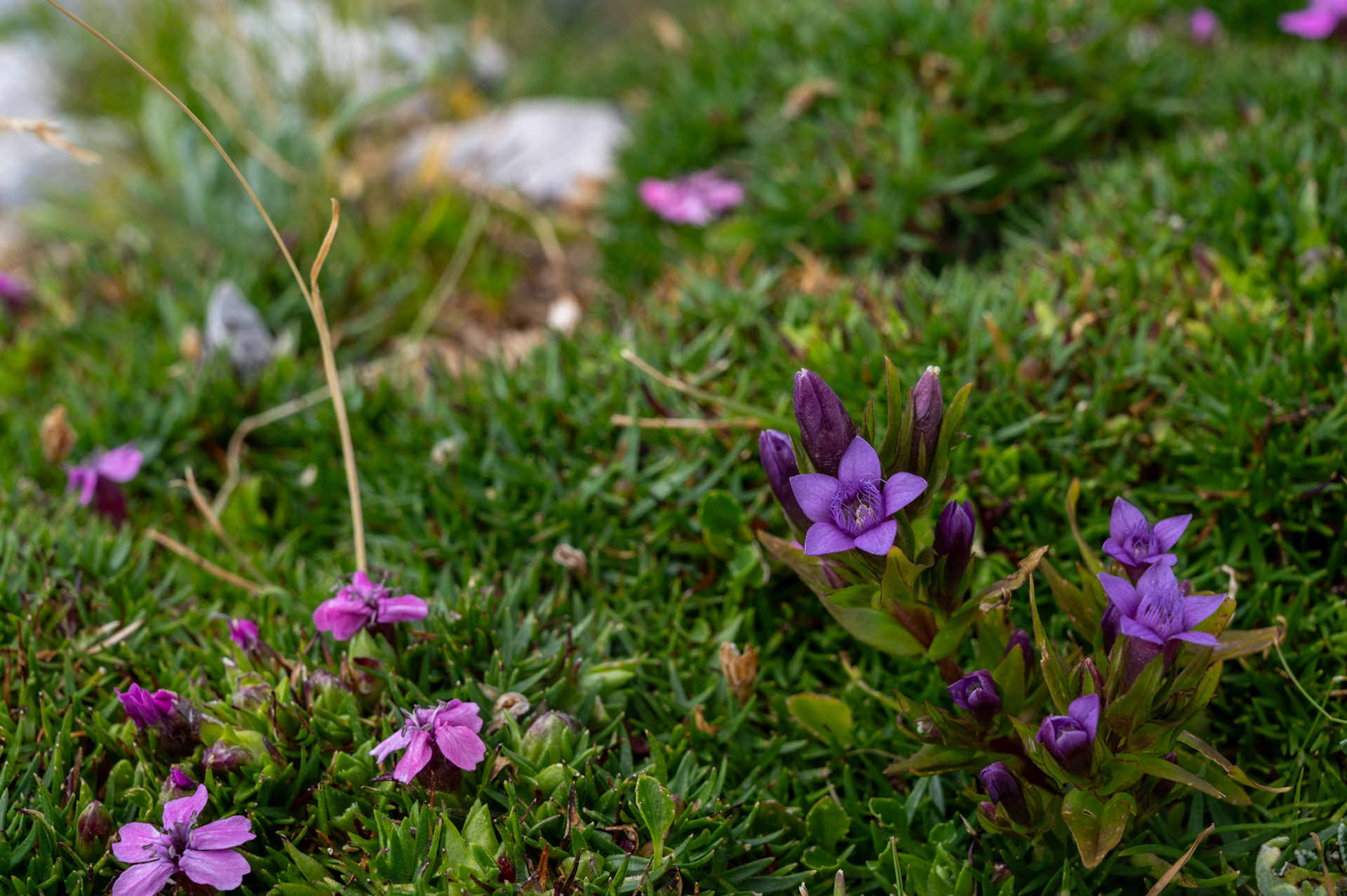 Triglav National Park, Slovenia