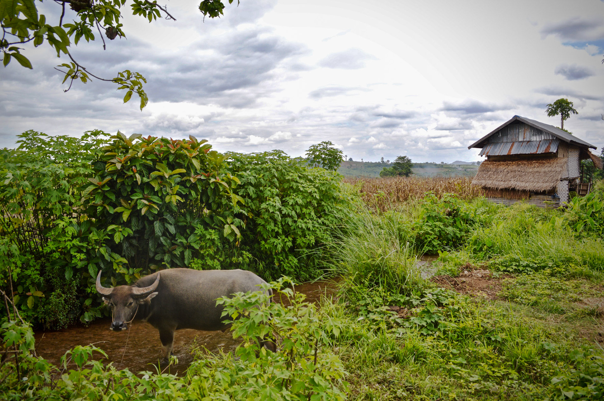 Unknown village name, Myanmar