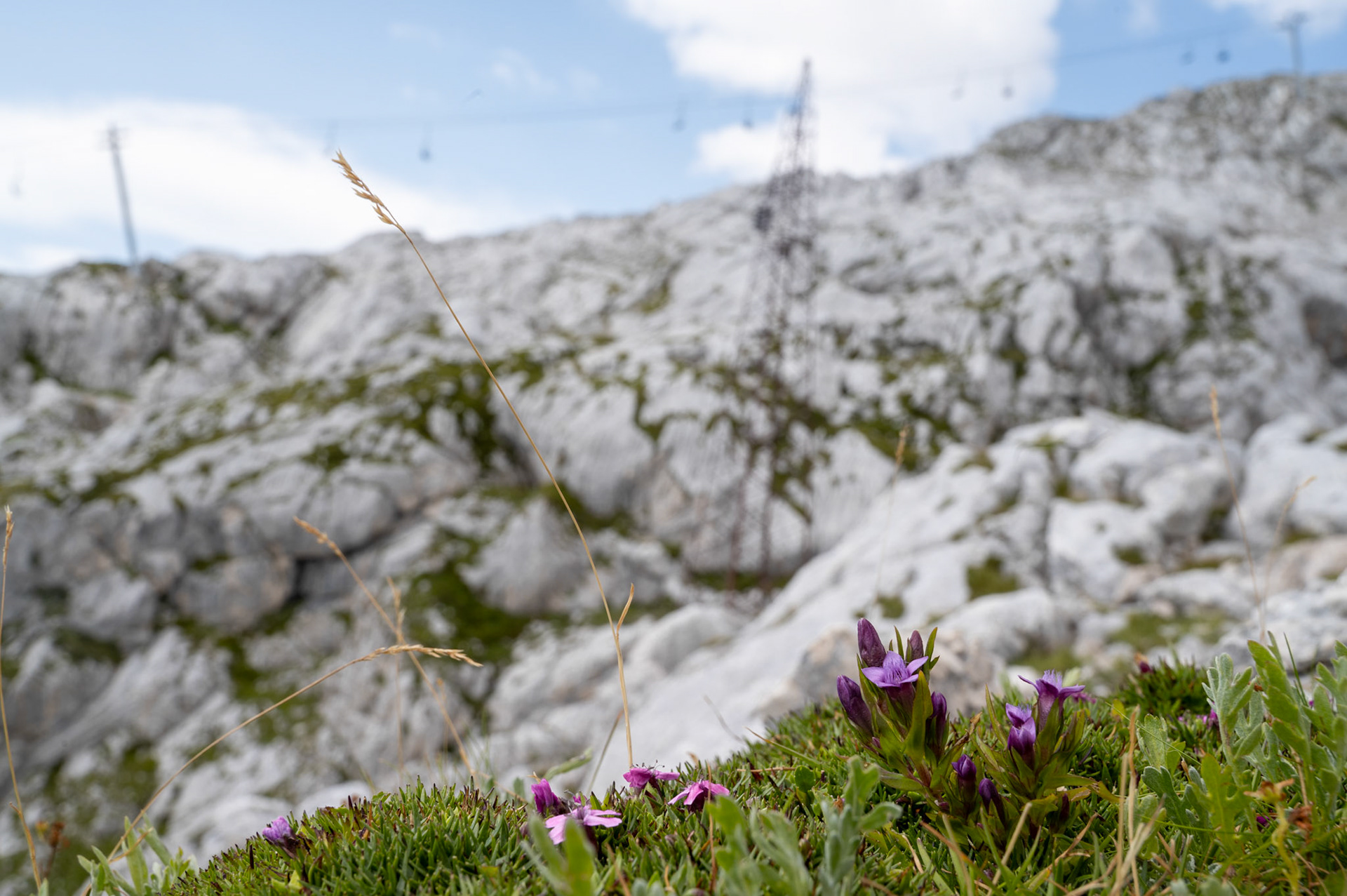 Triglav National Park, Slovenia