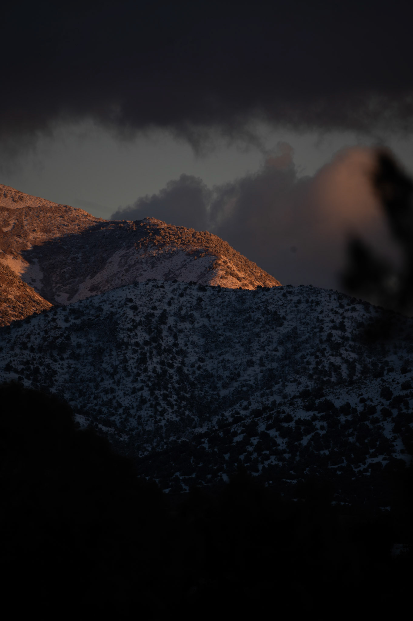 Sandia Park, New Mexico