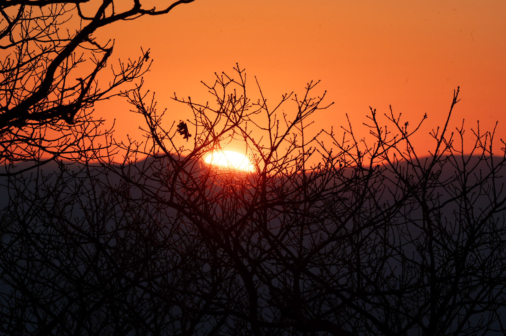 Reddish Knob, Virginia
