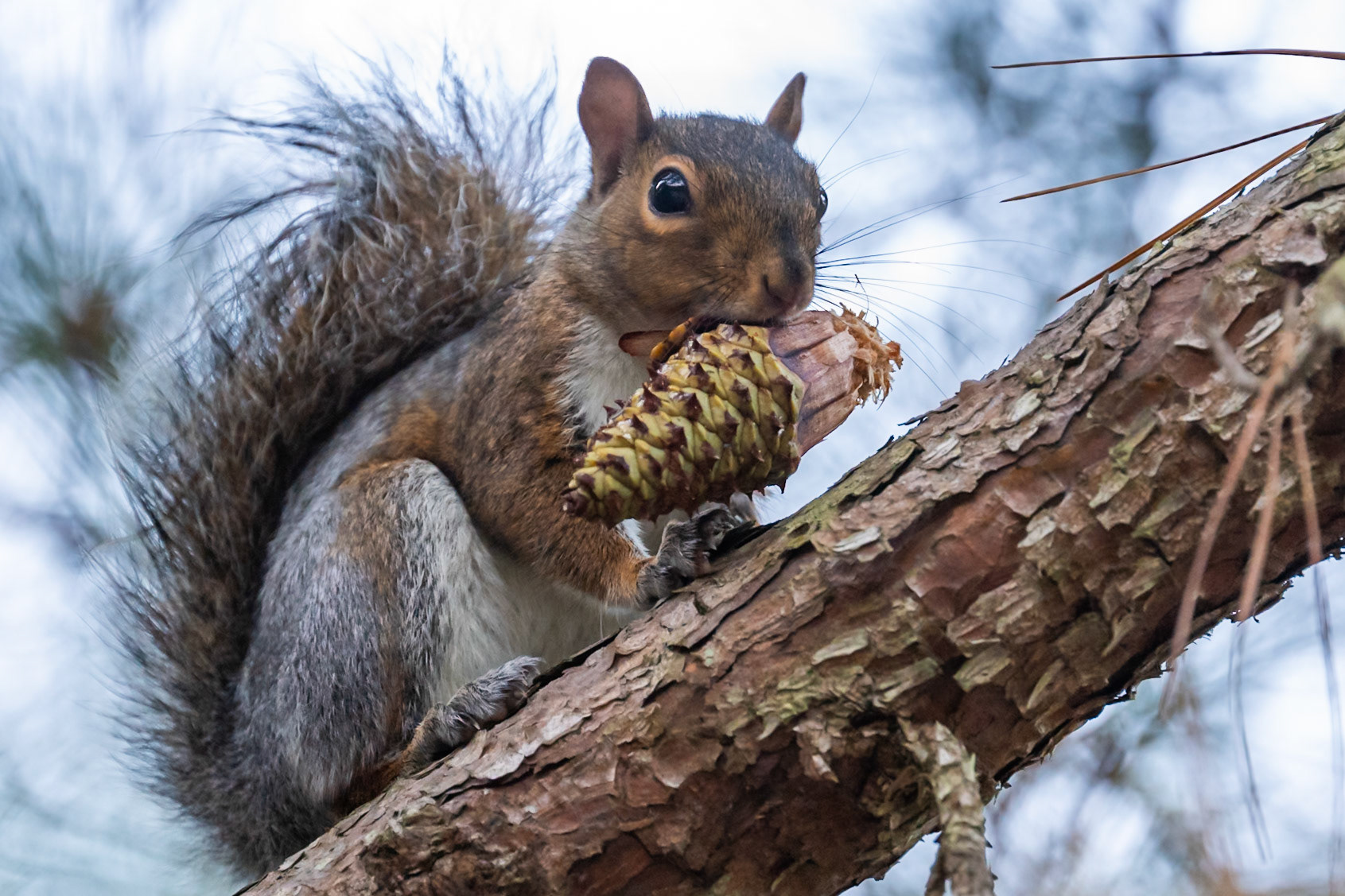 tasty morsel
