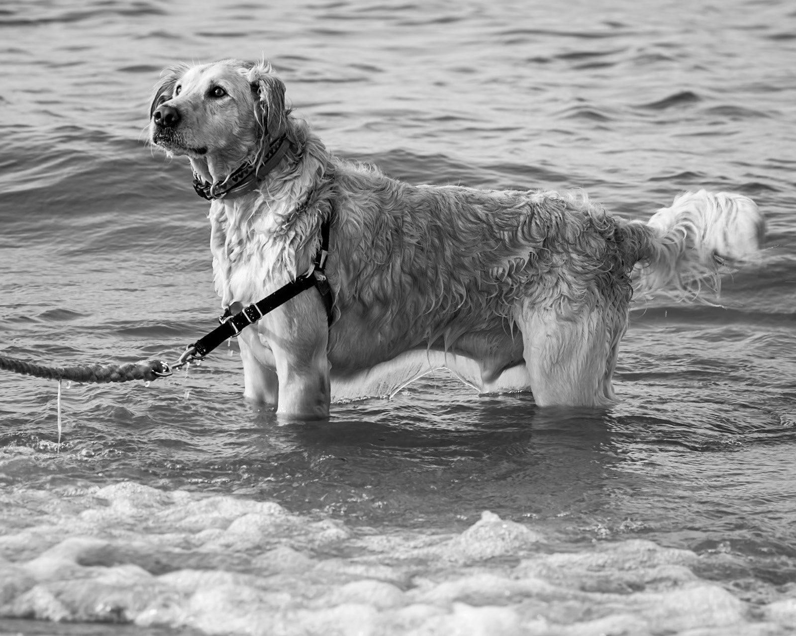 Love the water!