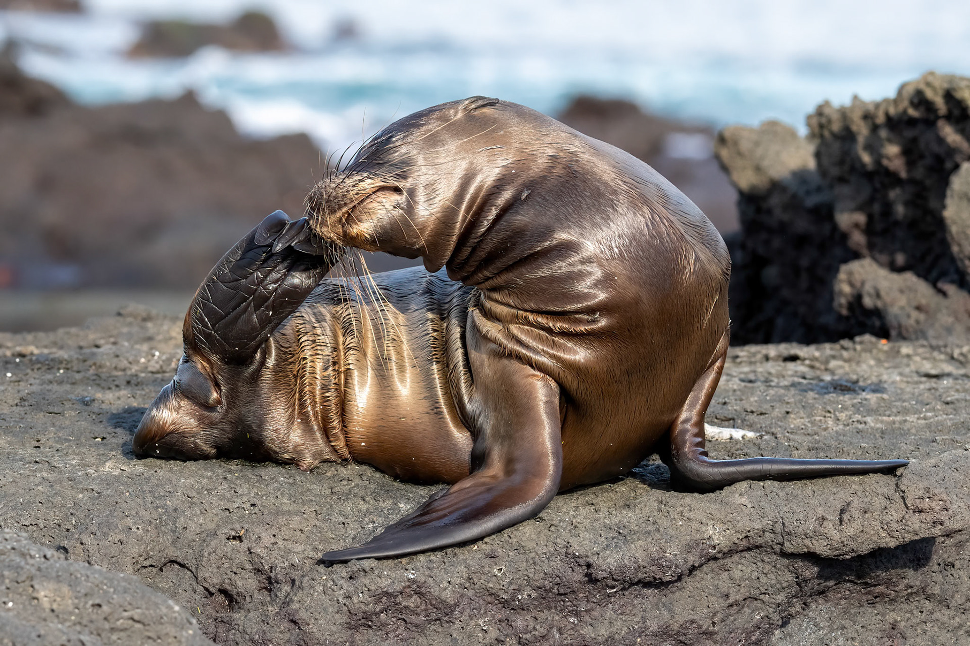 scratching the itch