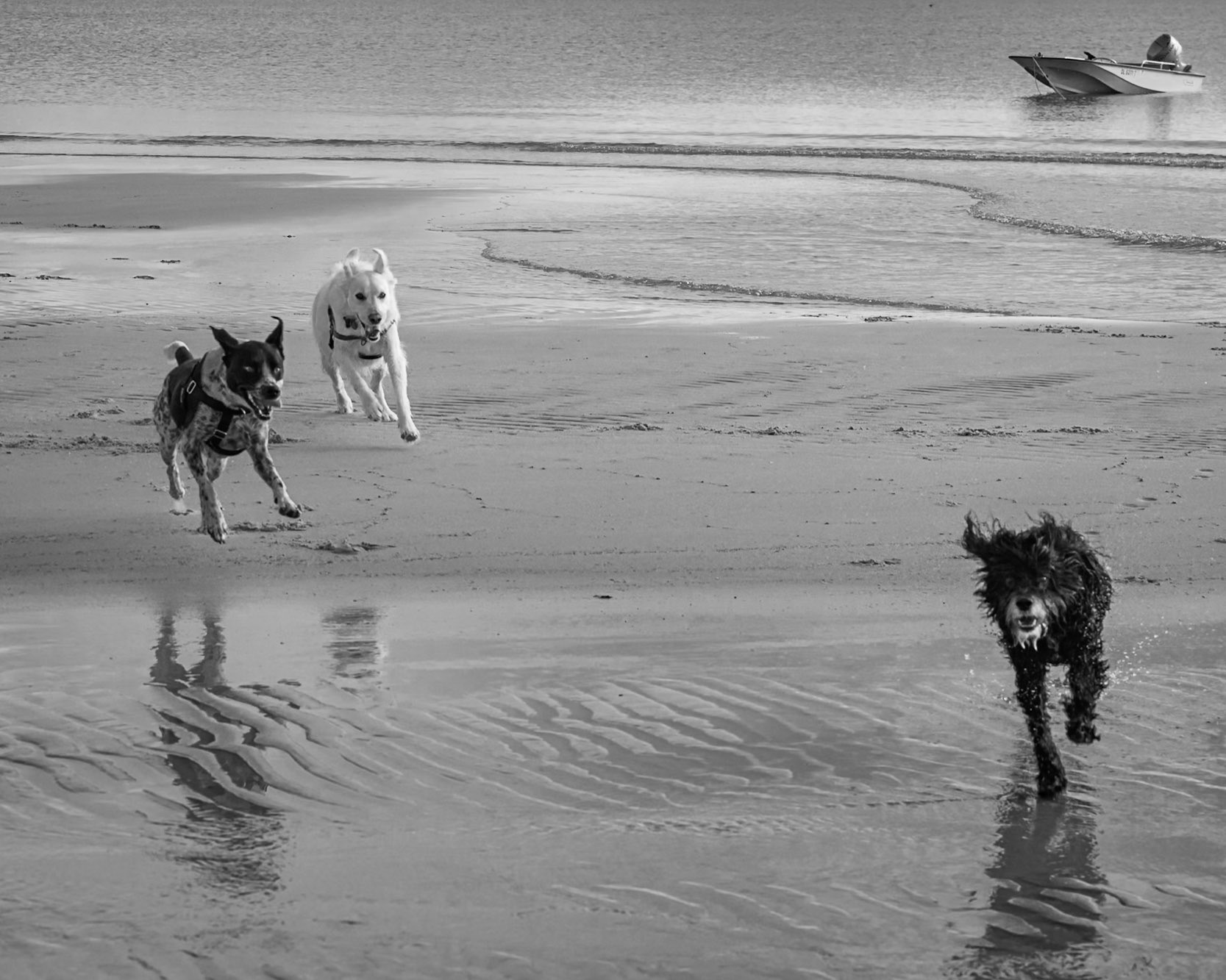 Catch me if you can!