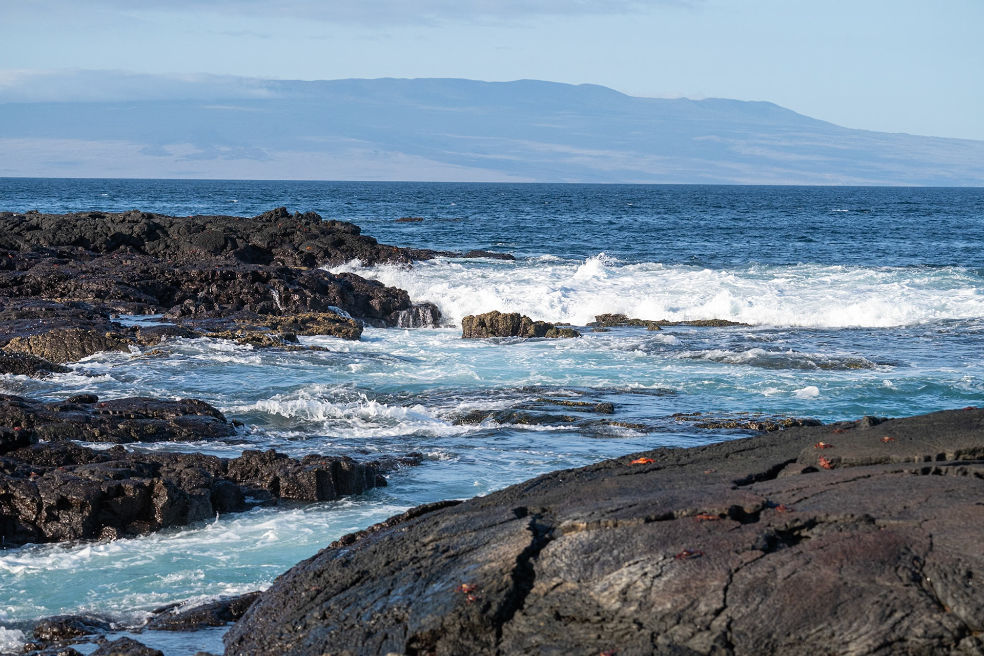 Galápagos