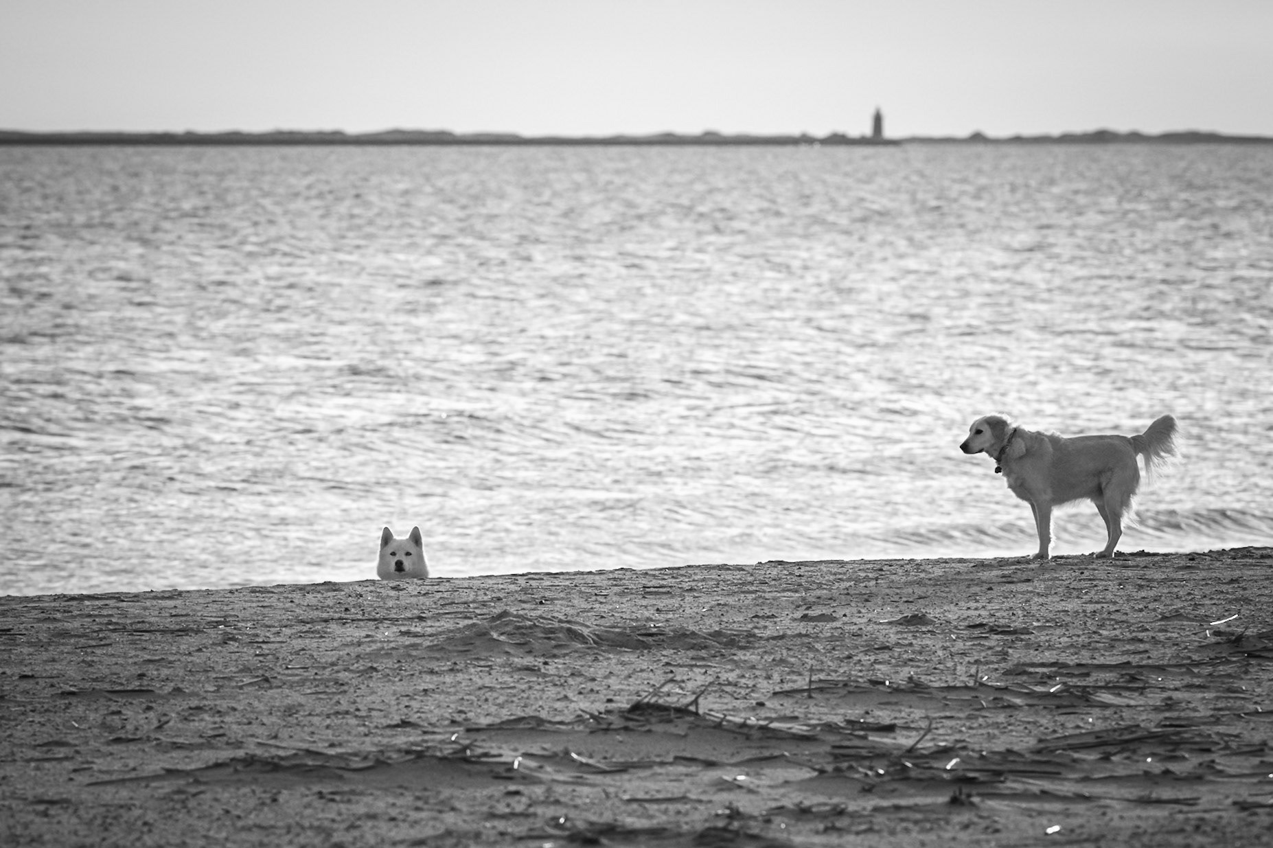 Peek-a-boo!