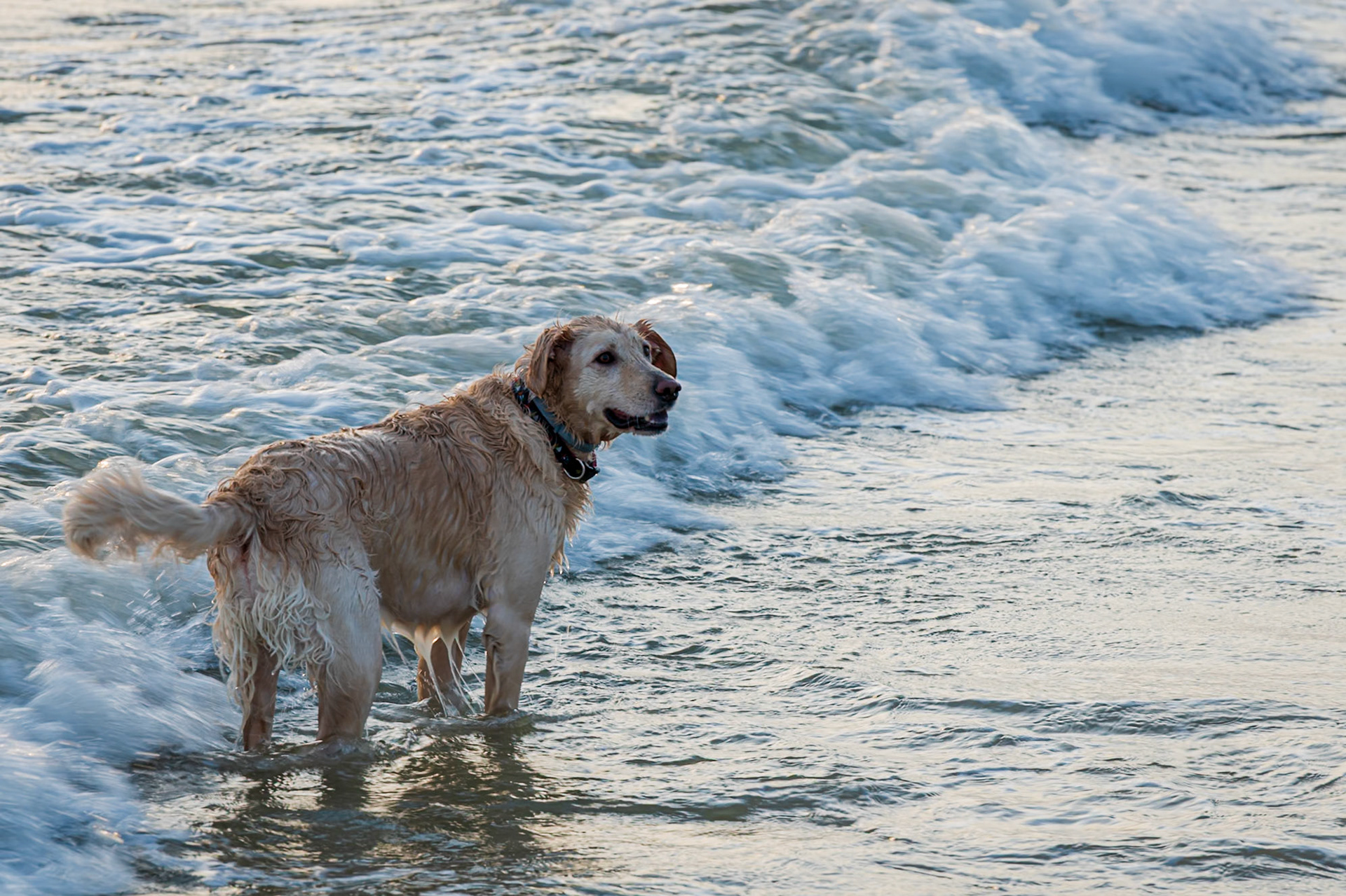 Let's go swimming!