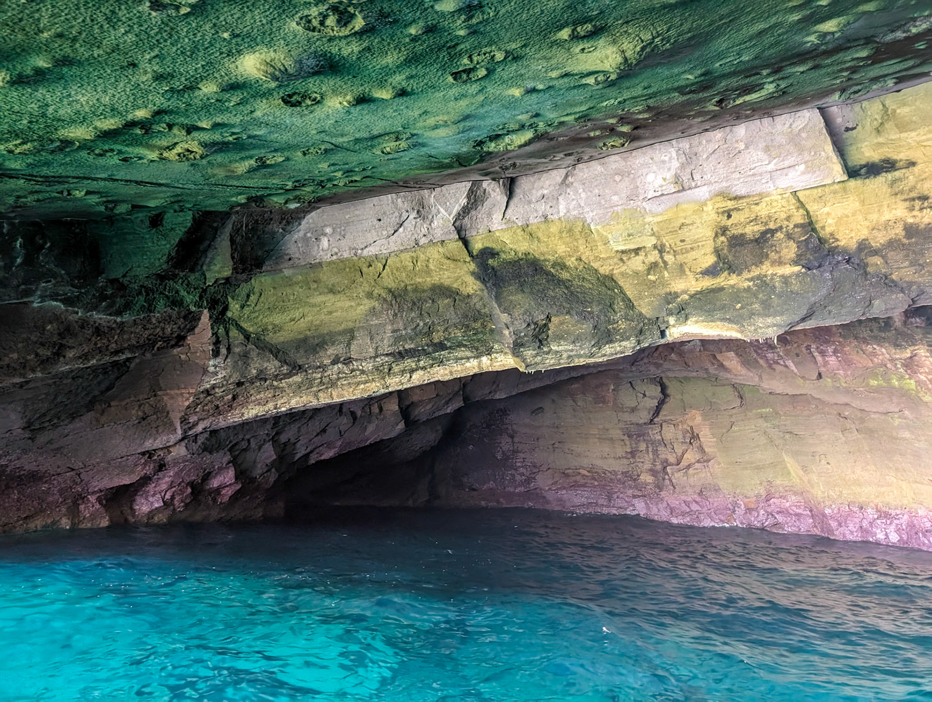 greens, yellows, pinks