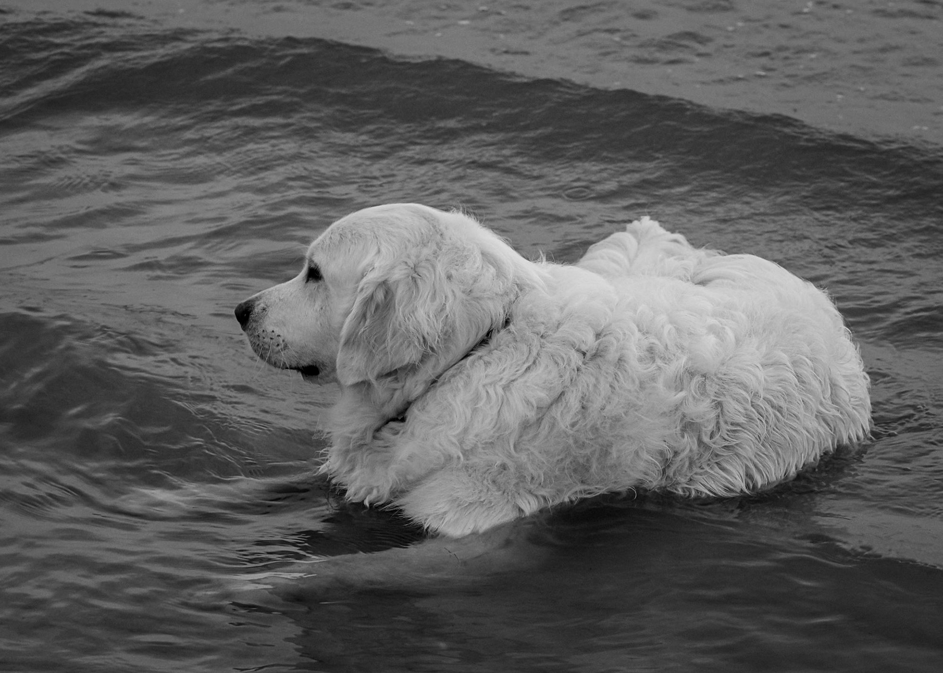 lounging at the shore