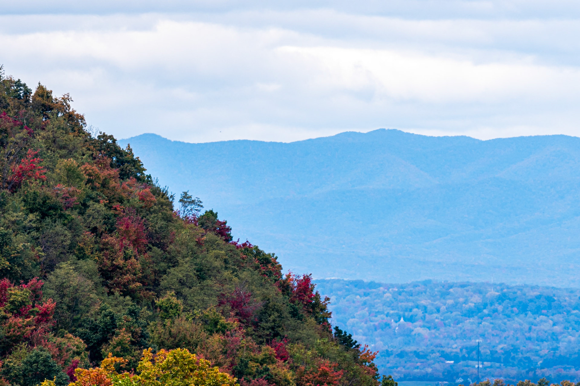 fall colors at Rockfish Gap
