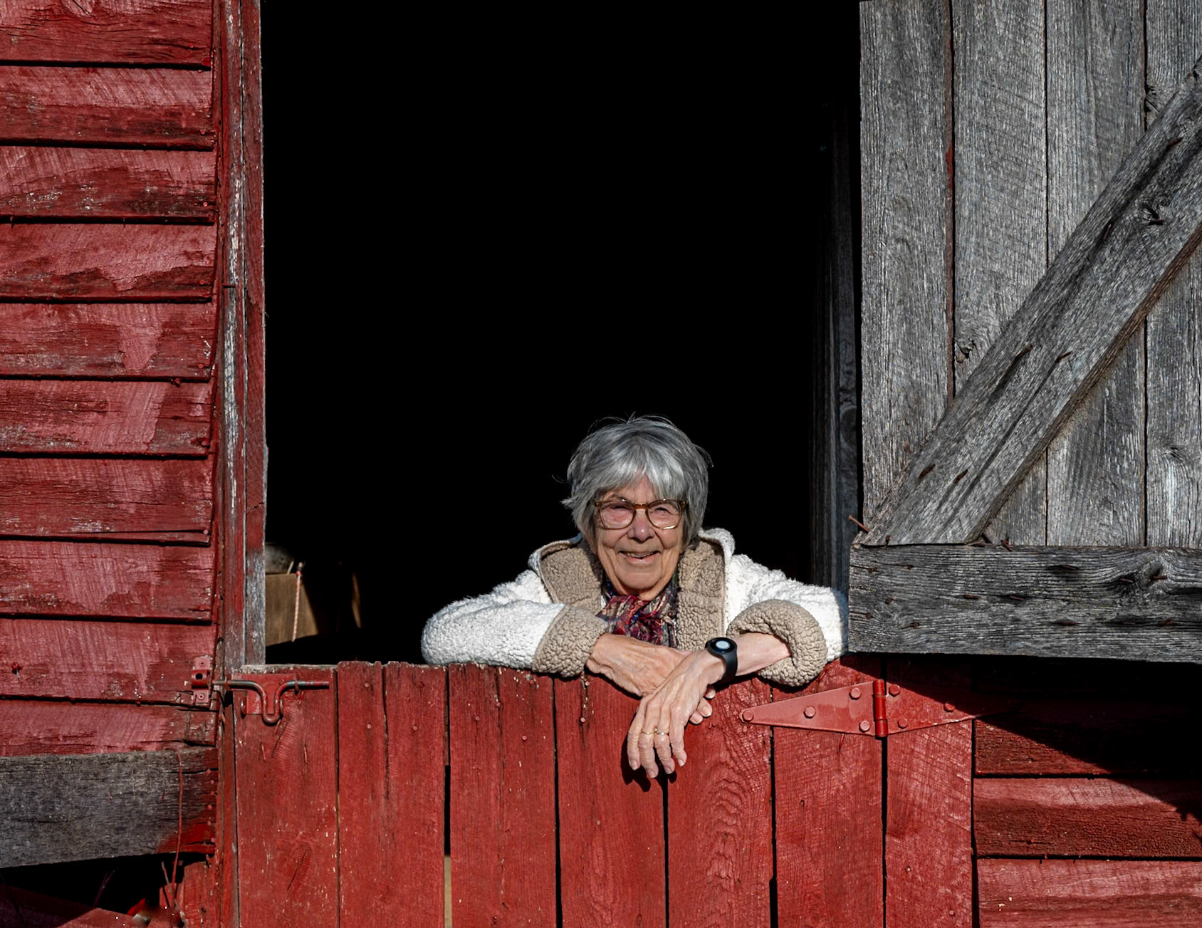 portrait in the barn