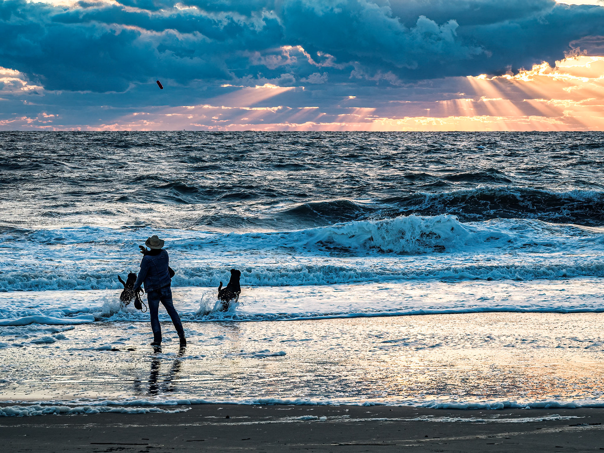 sunrise retrieving