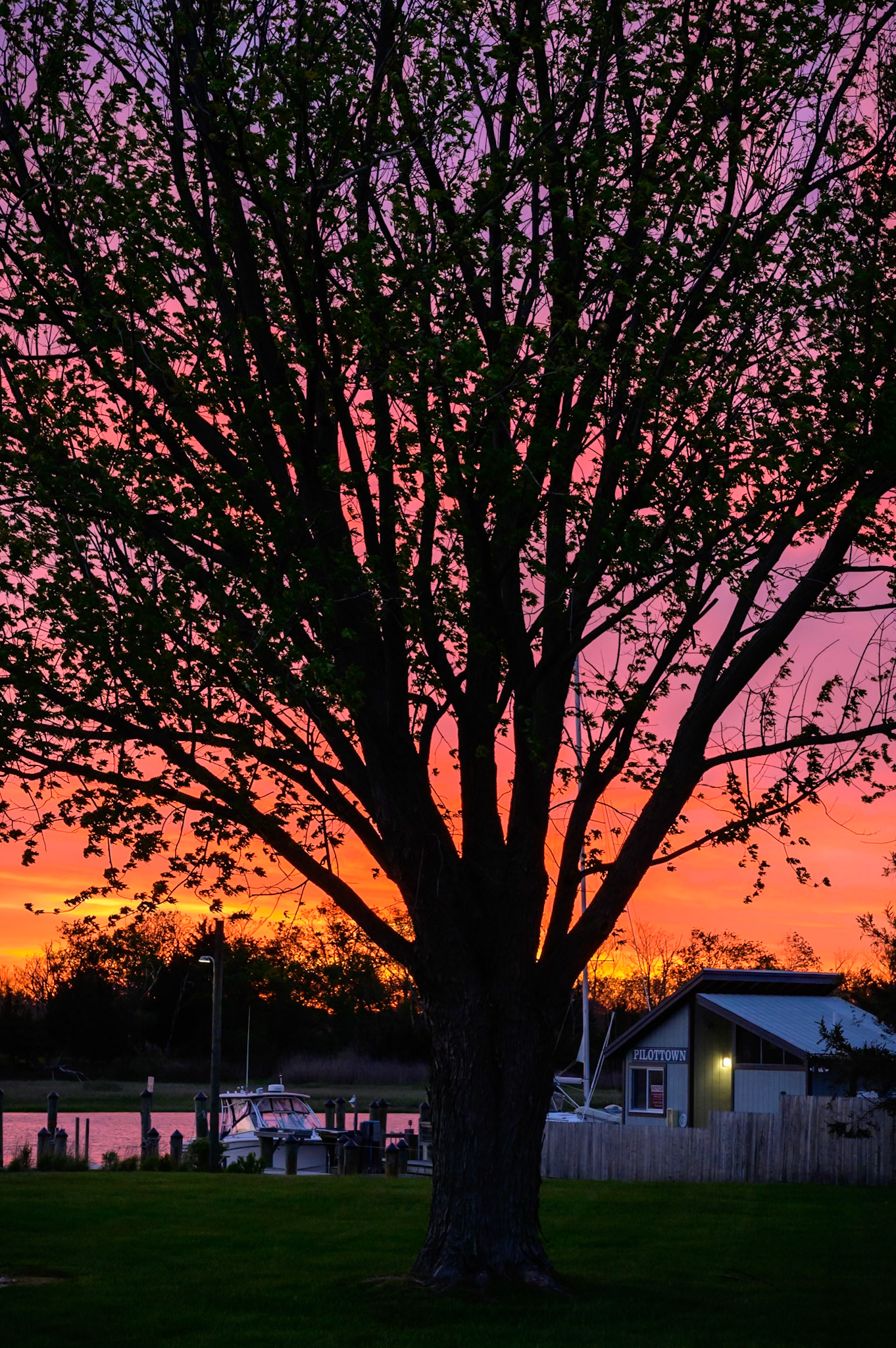 orange and purple sunrise