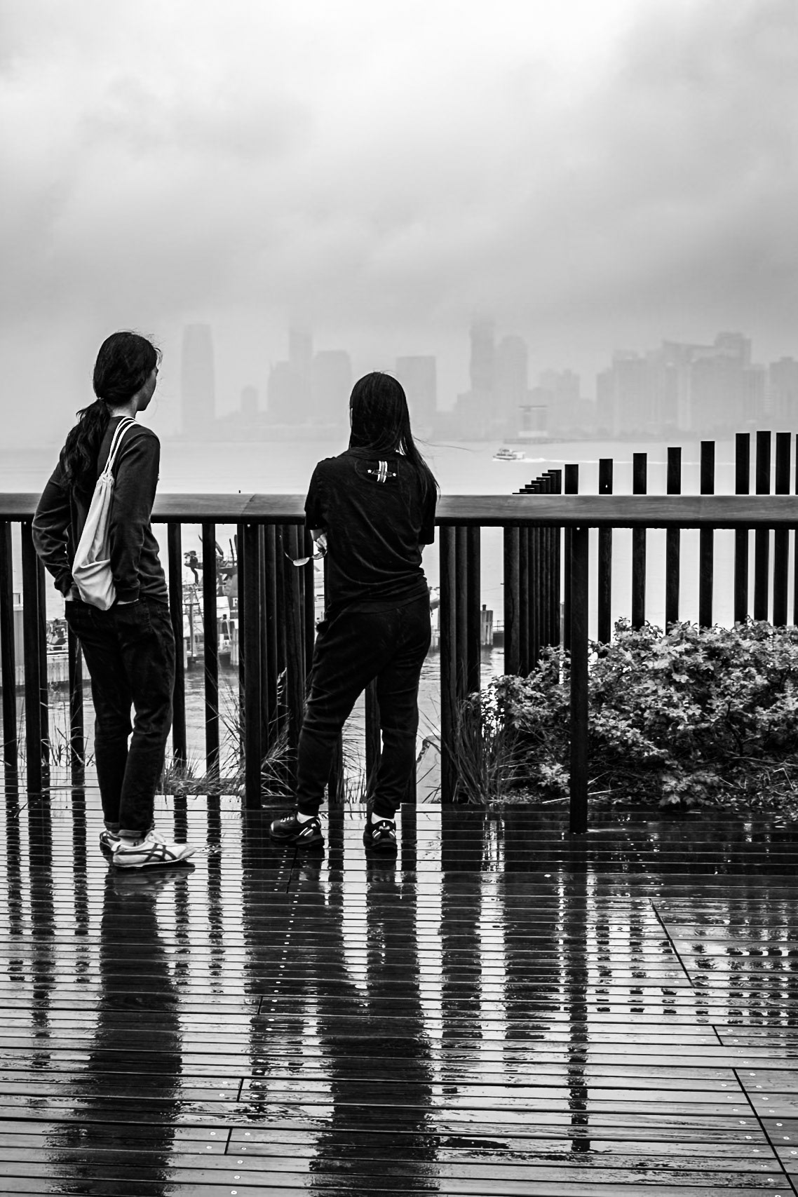 rain and fog