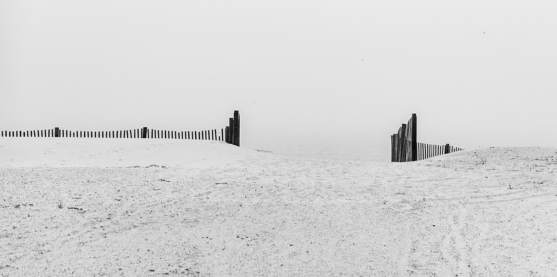 Dune fence and fog