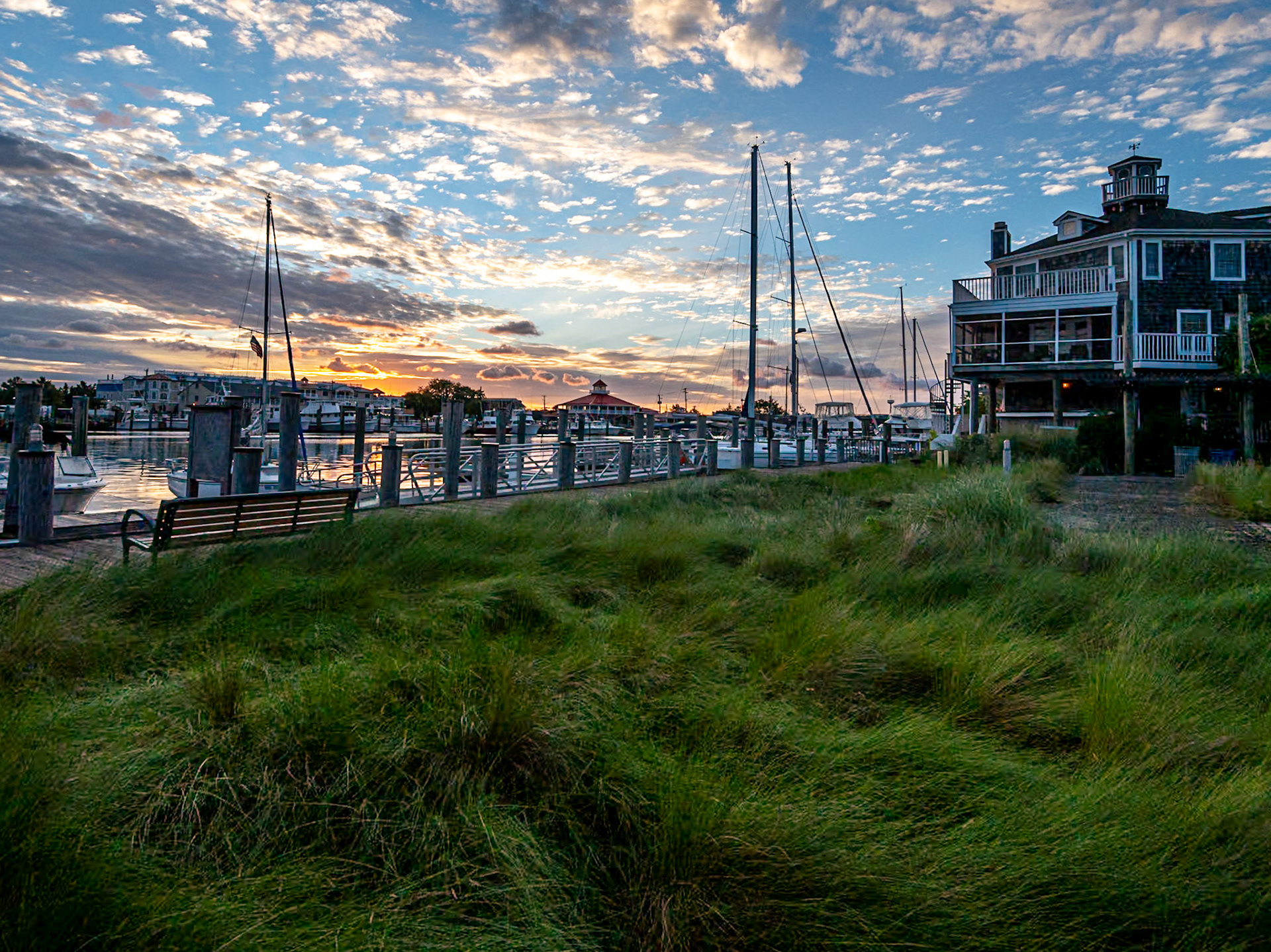 grasses and clouds