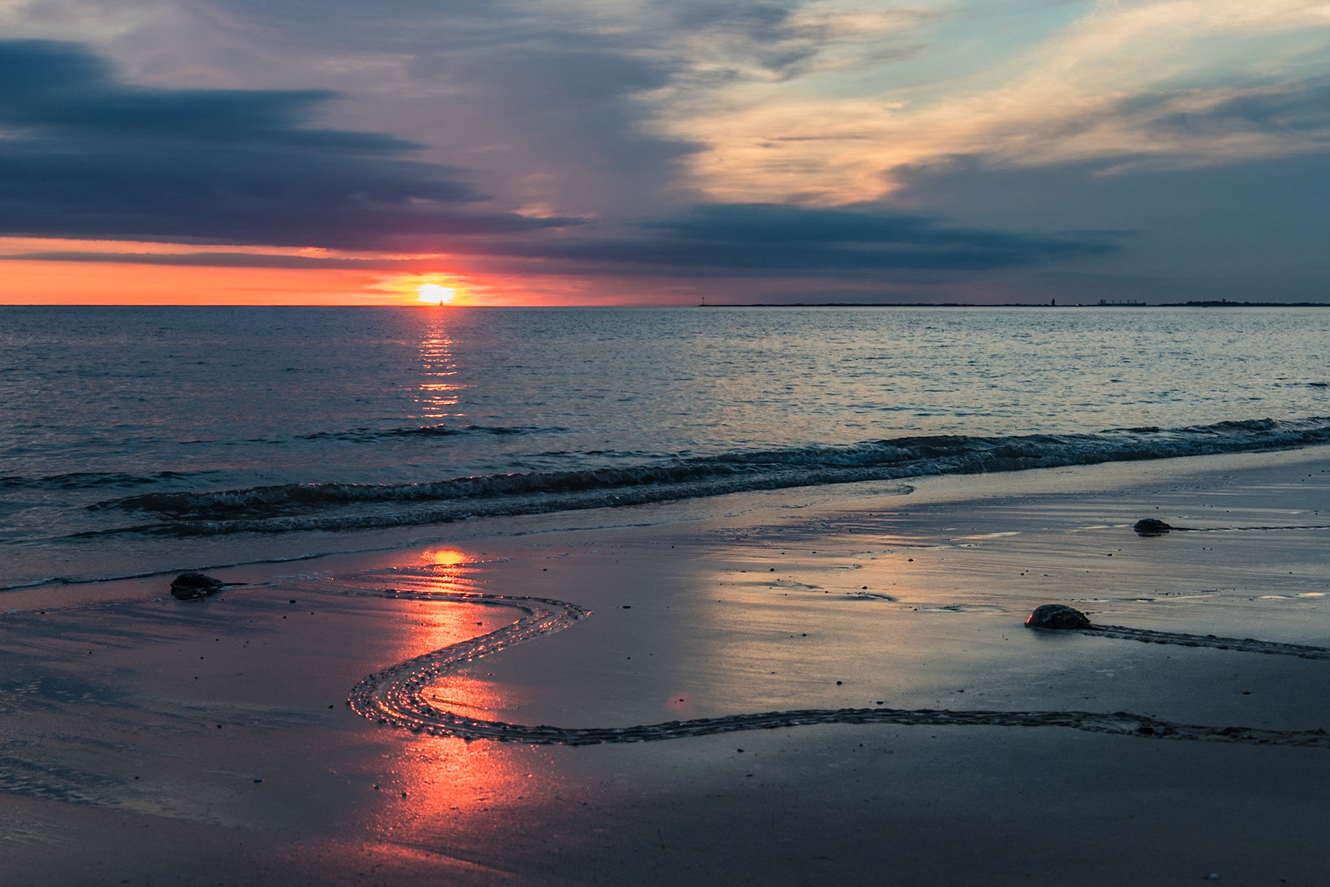 Return to the sea