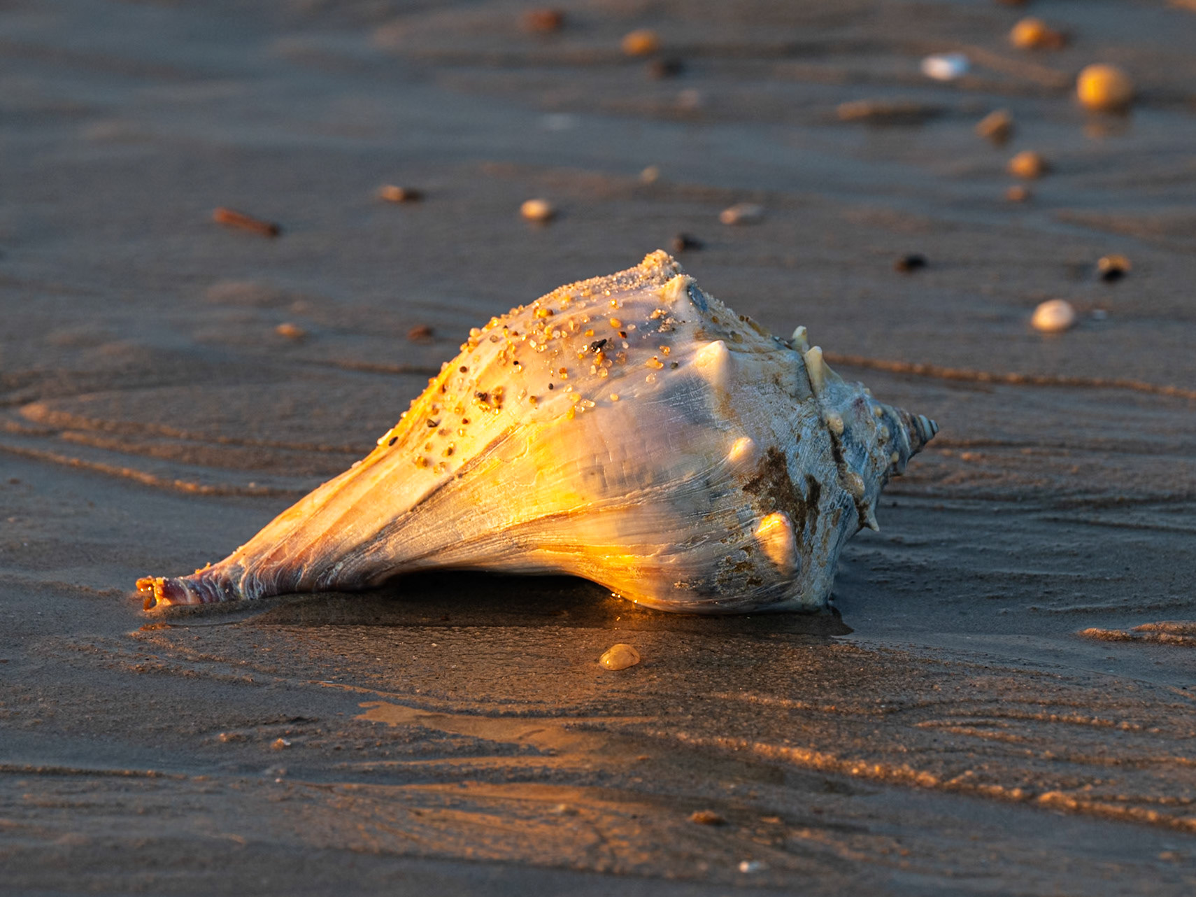 Low tide