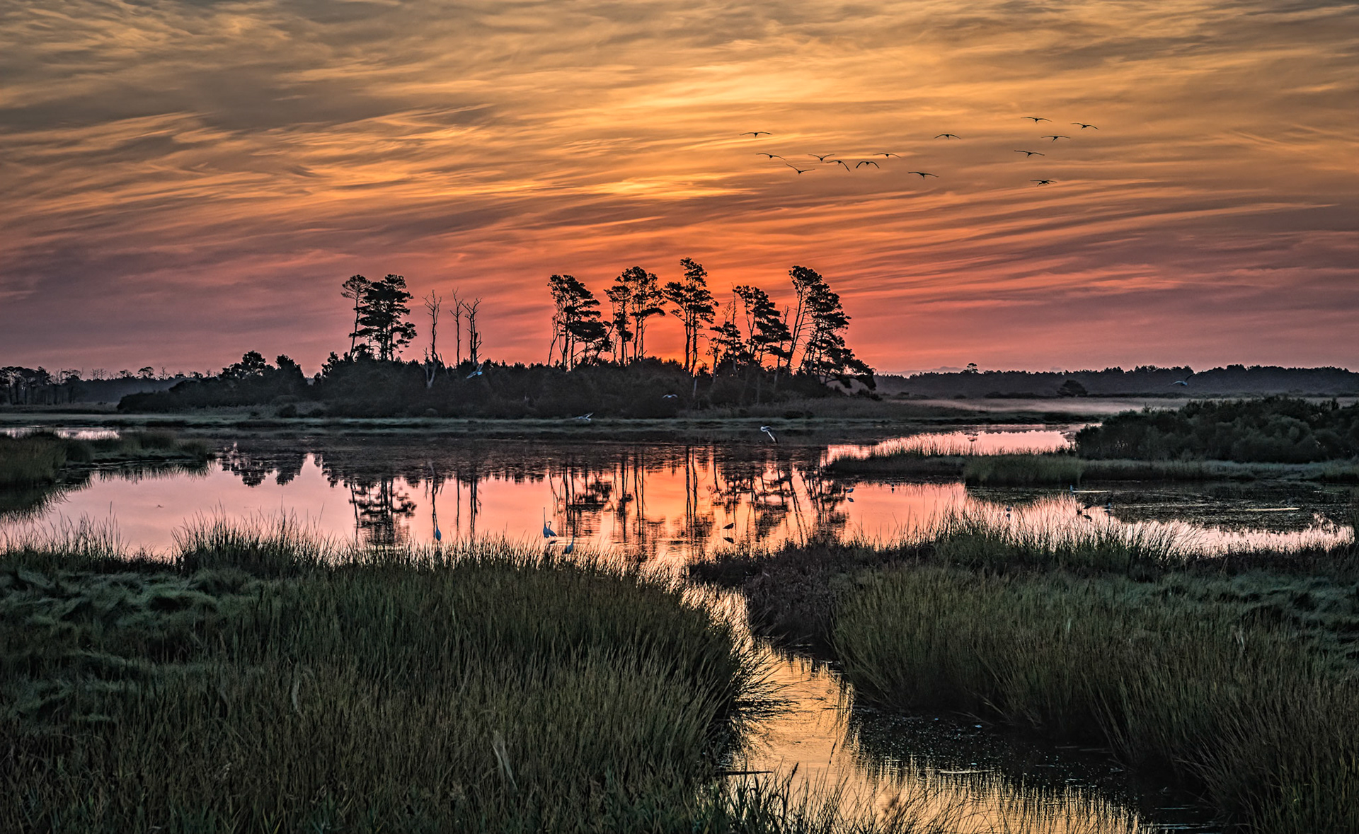 sunrise at Chincoteague