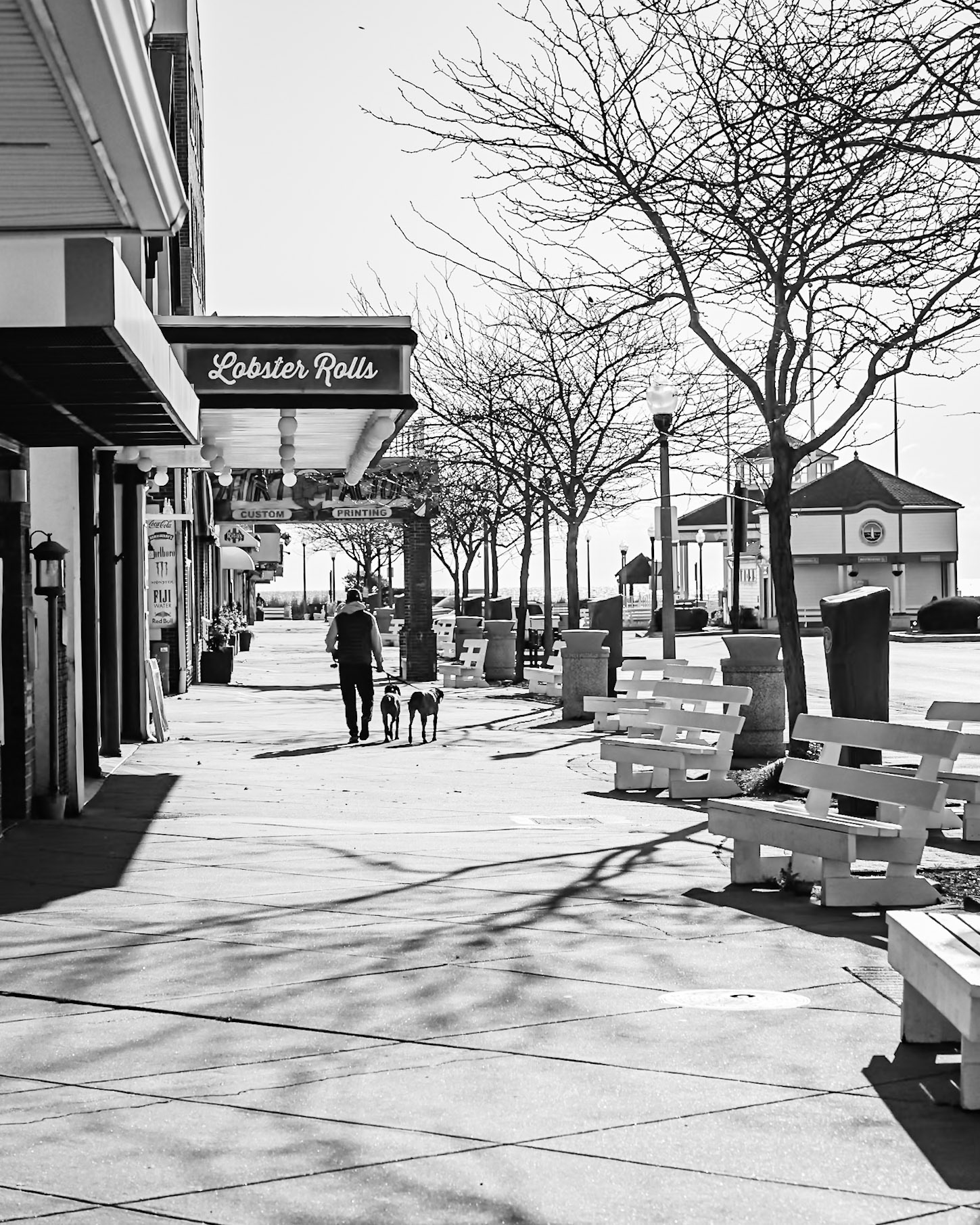 walking the dogs in Rehoboth Beach
