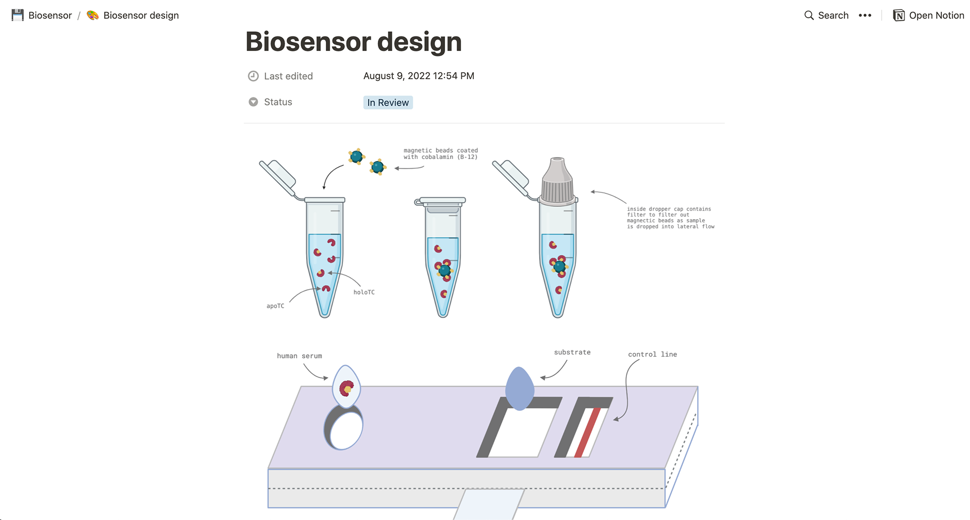 Biosensor mockups