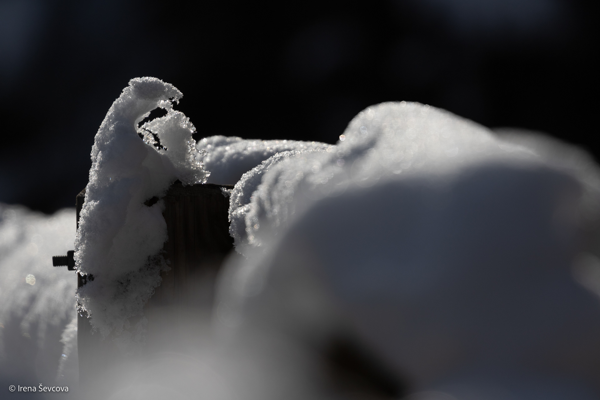 Snow Madonna/ Sniego Madona