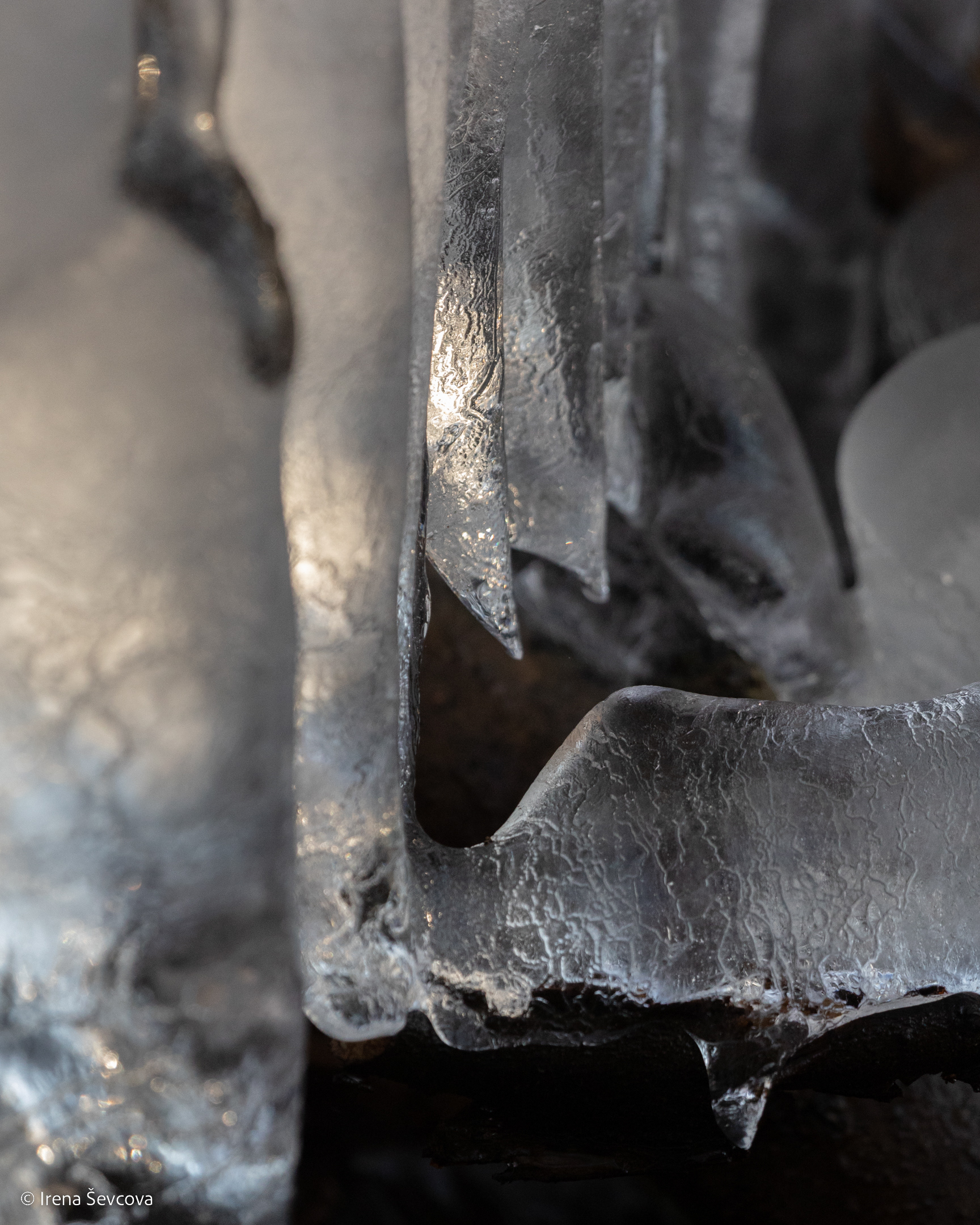 Pipe Organ/ Vargonai