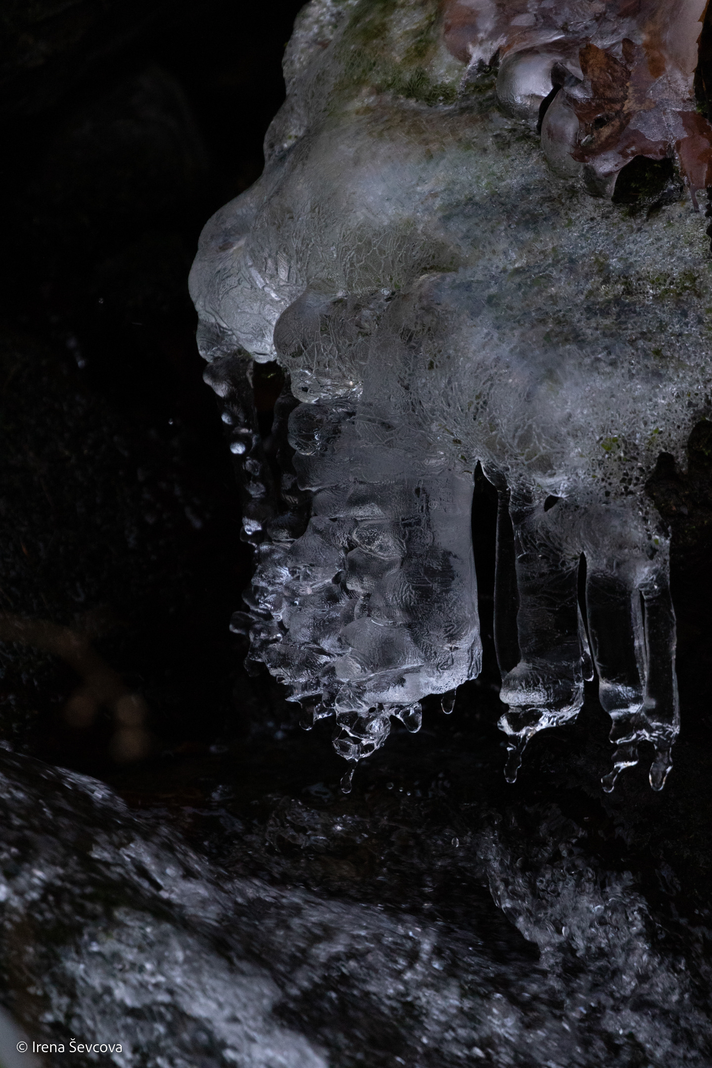 Waiting For Ice Skating/ Belaukiant Čiuožimo