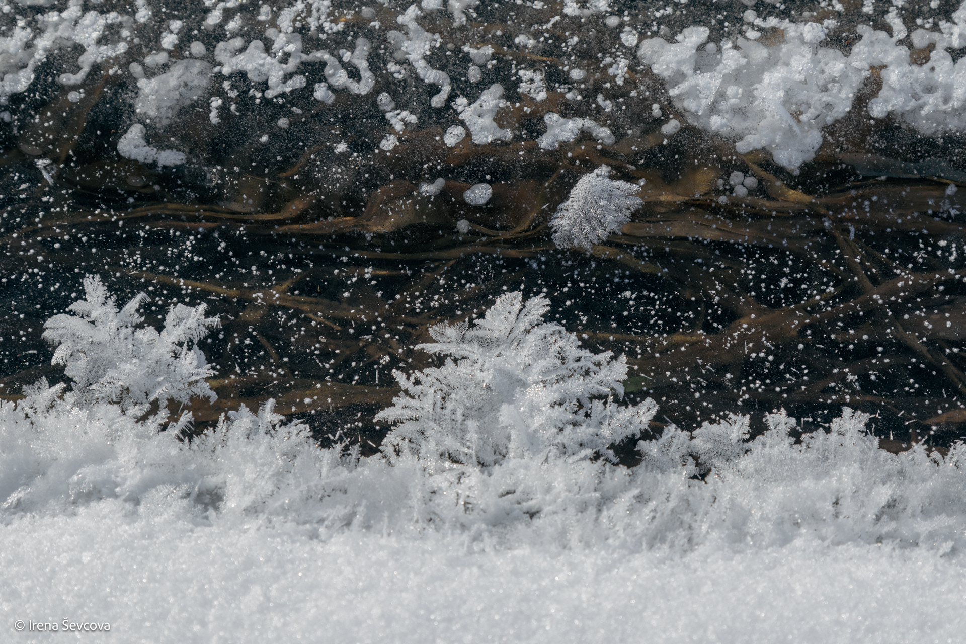 Sleeping Rivers / Miegančios upės