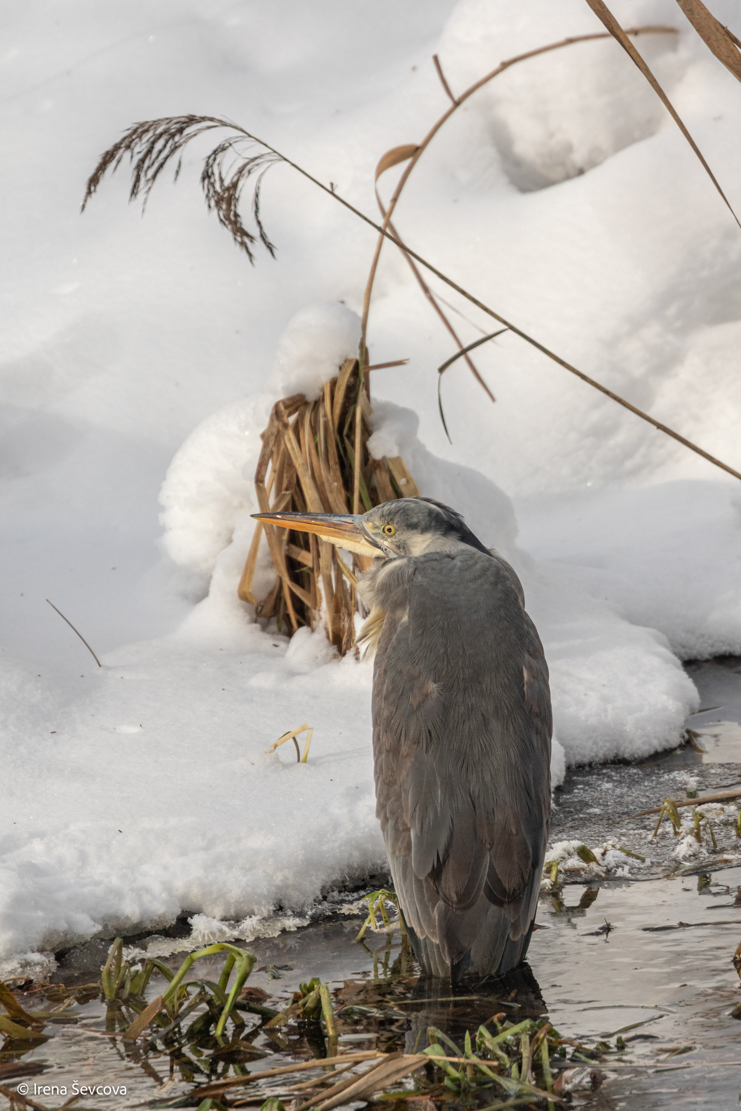 Yra apie ką pagalvoti...