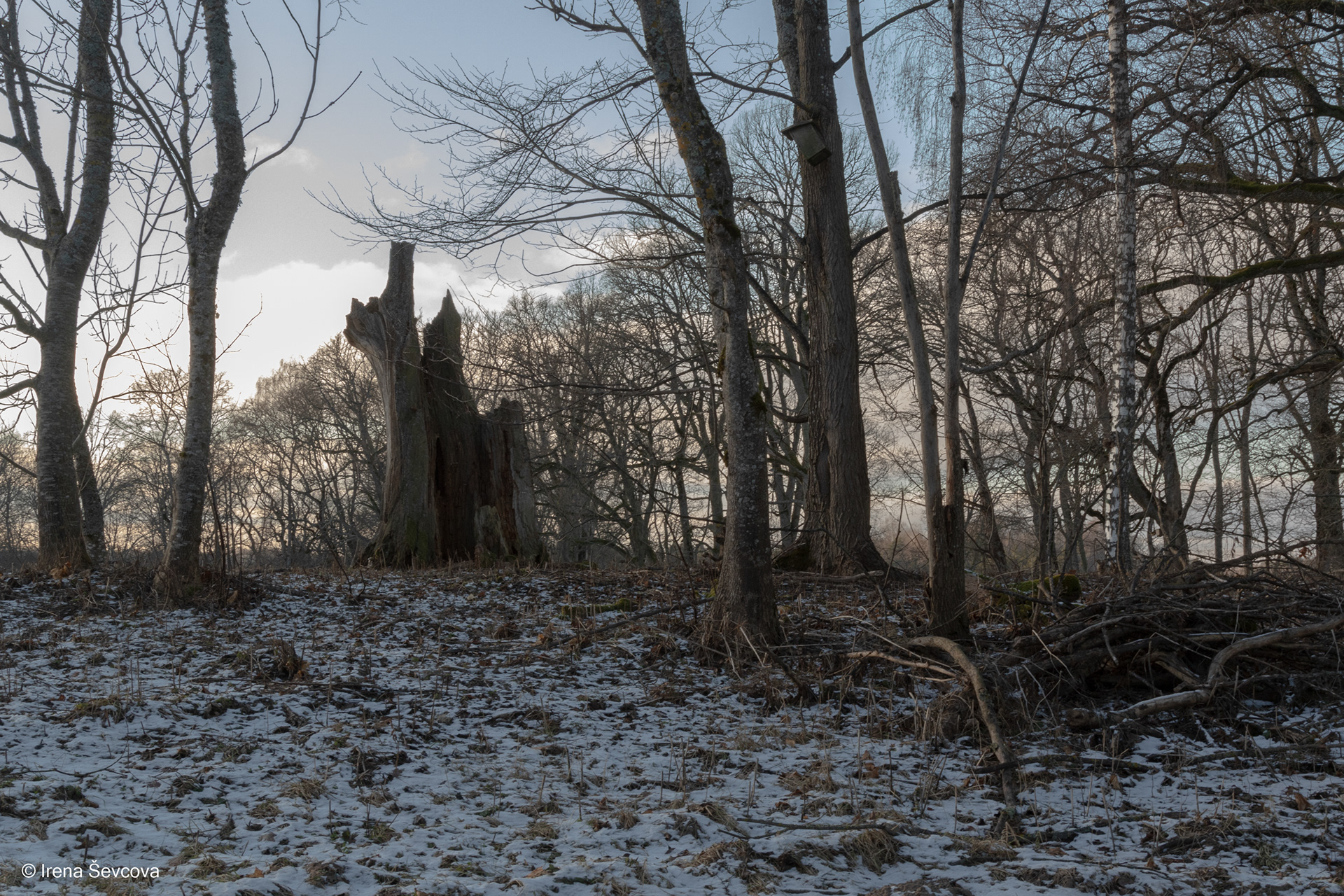Castles in Dubingiai/Dubingių Pilis