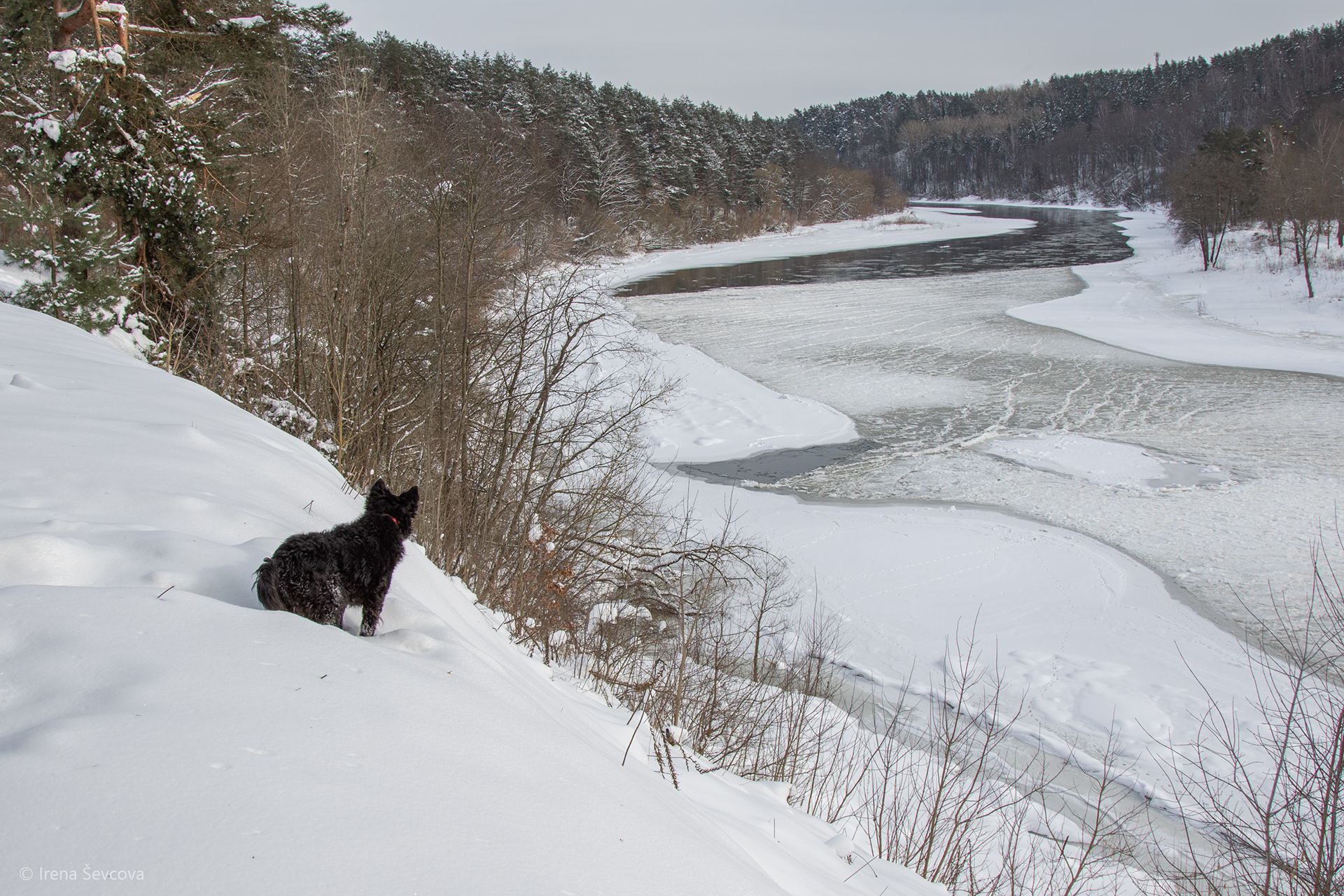Waiting For Navigation