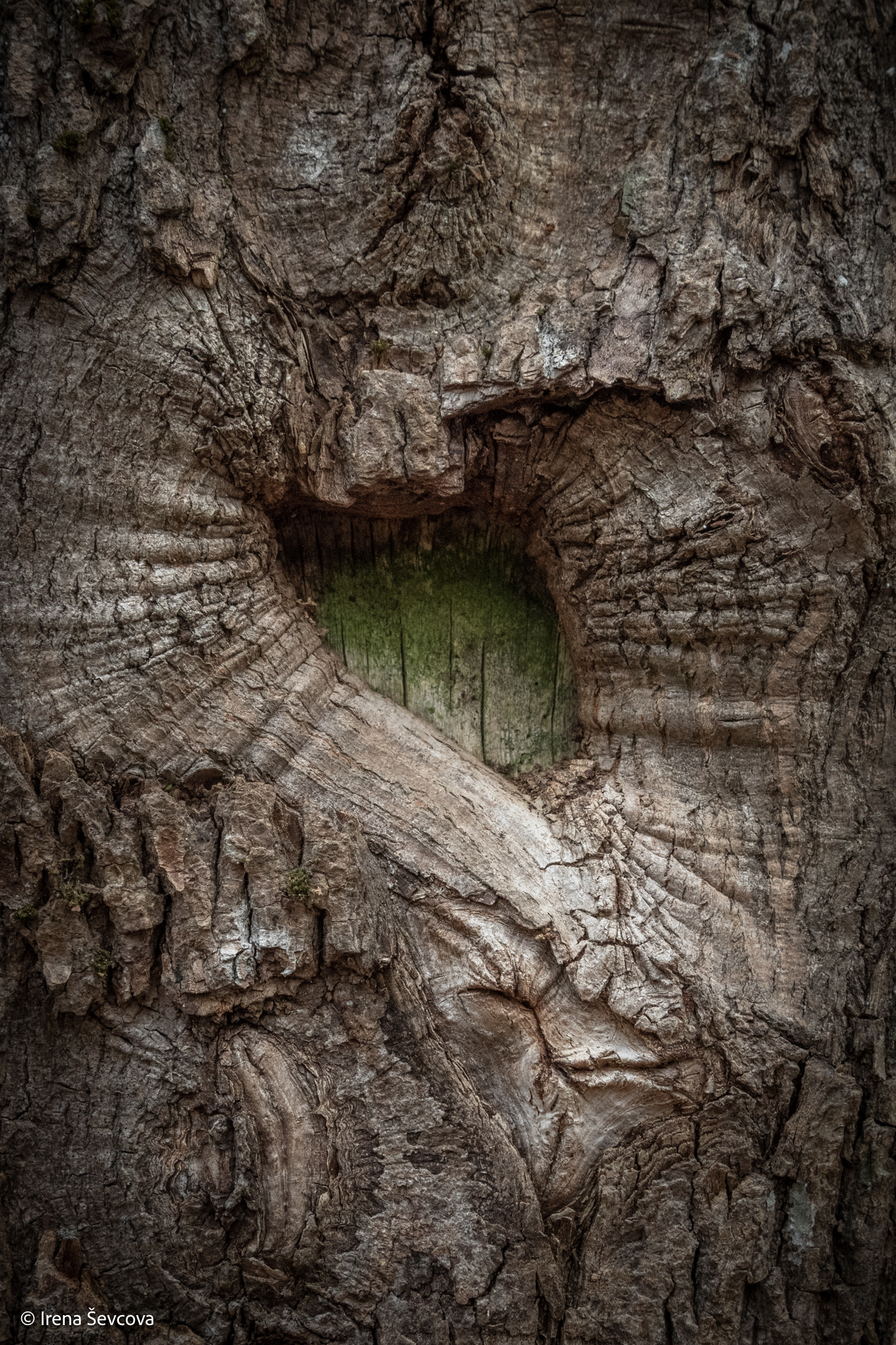 Sacred Green Heart