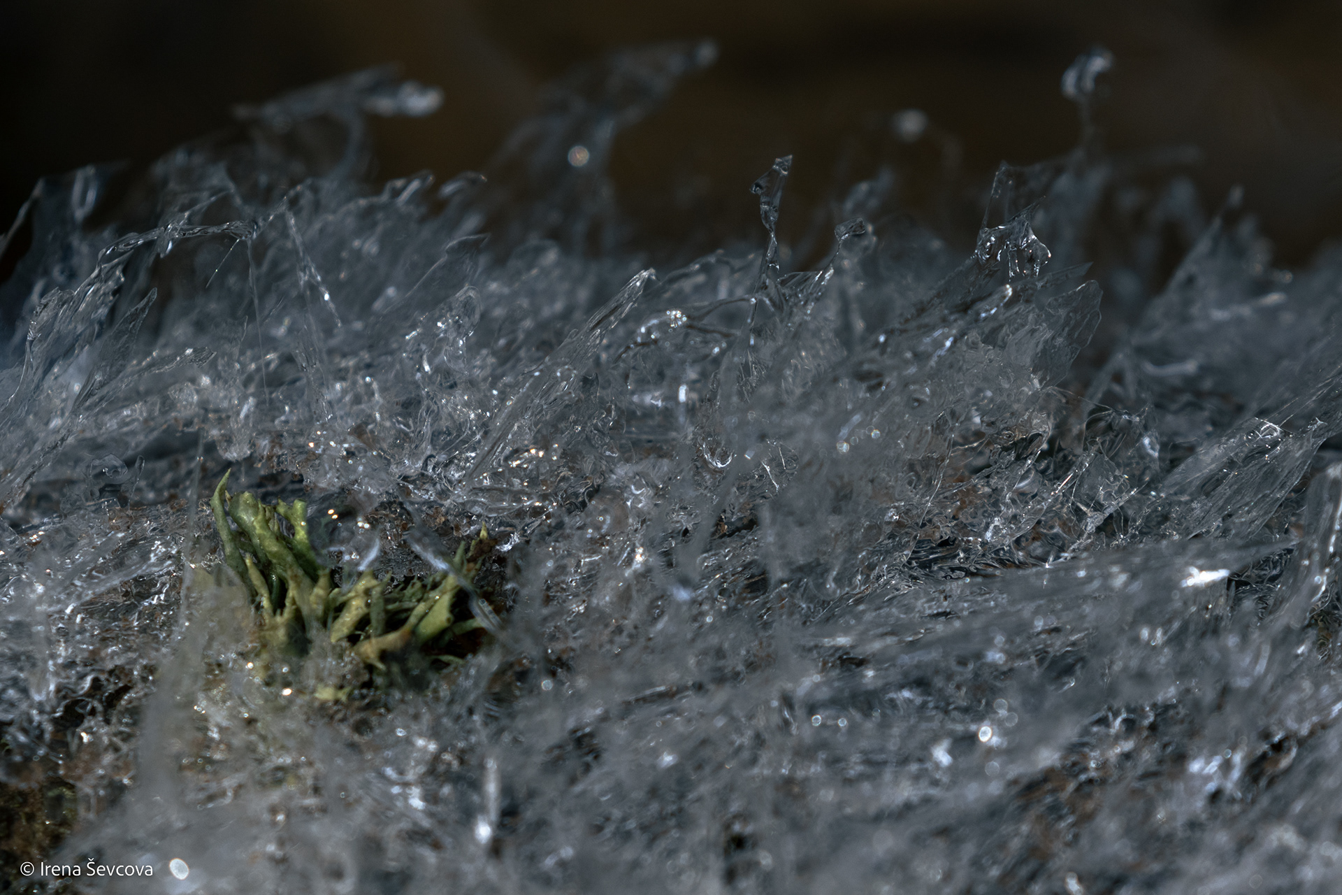 Sleeping Rivers/ Miegančios upės