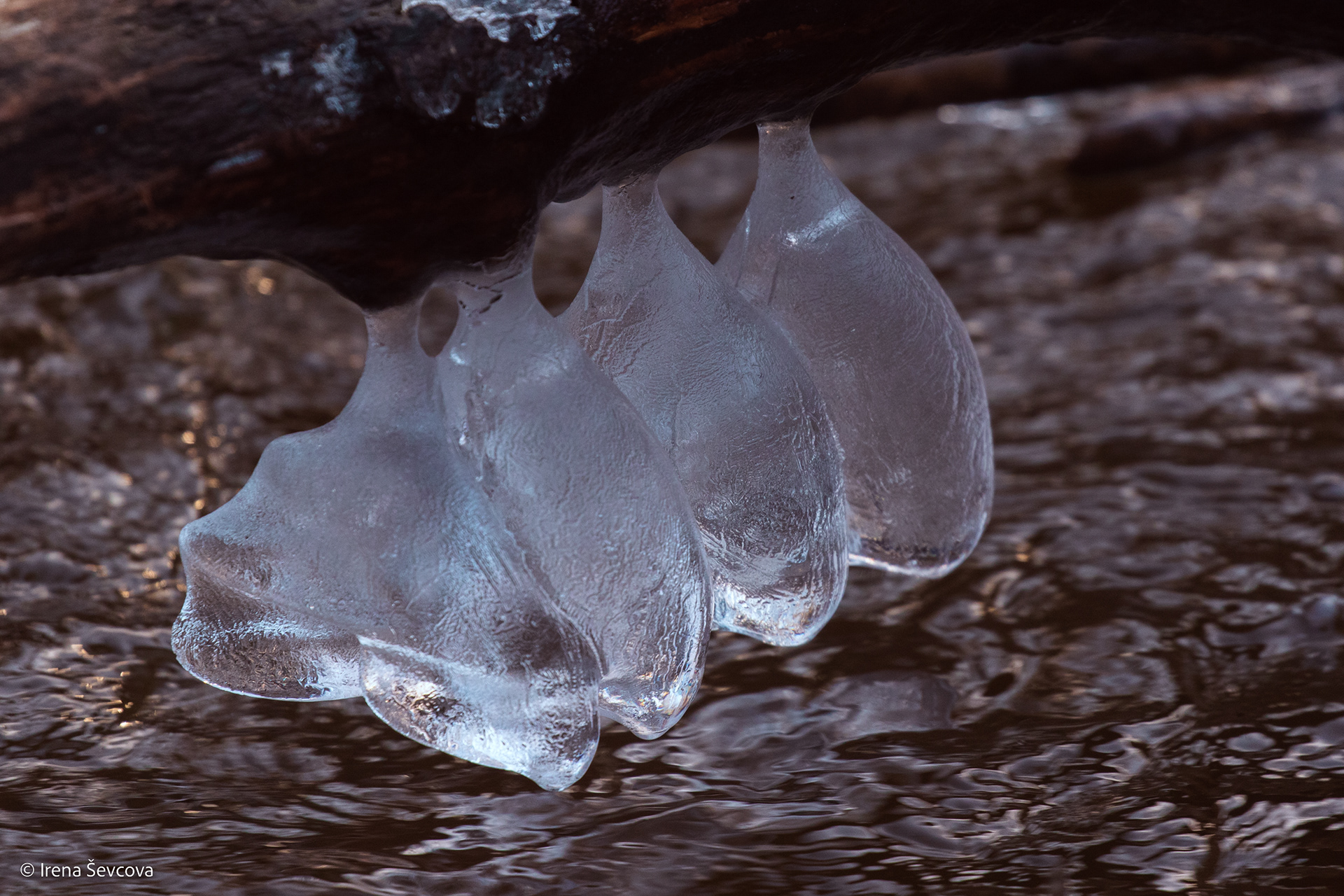 Her Collection/ Jos Kolekcija