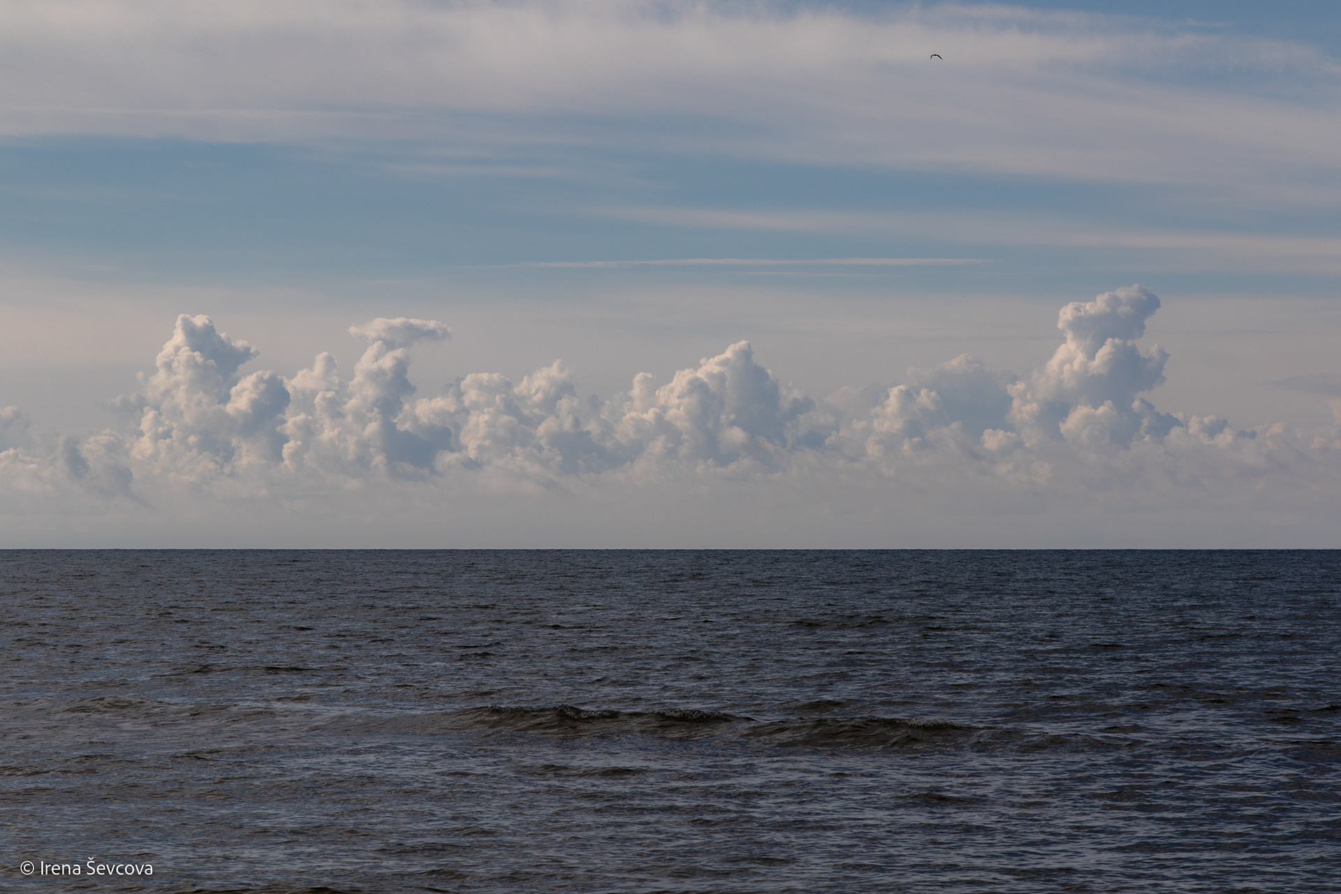 Palanga:Dangiškoji Kavalerija/Heavenly Cavalry