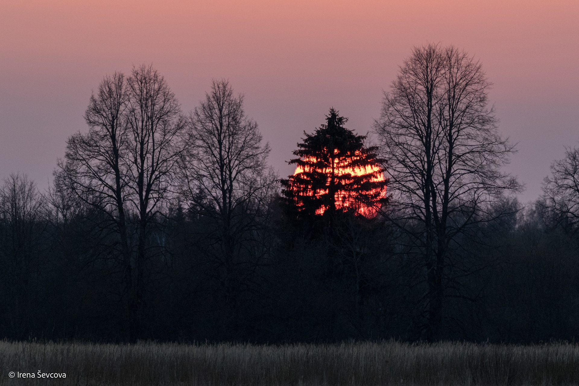 Stop Sunset