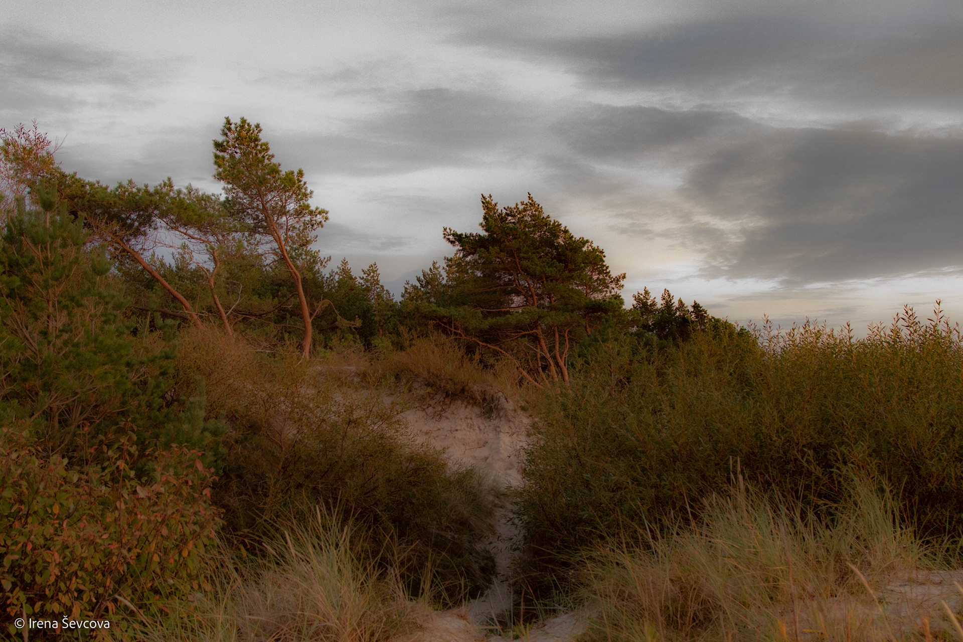 Palanga