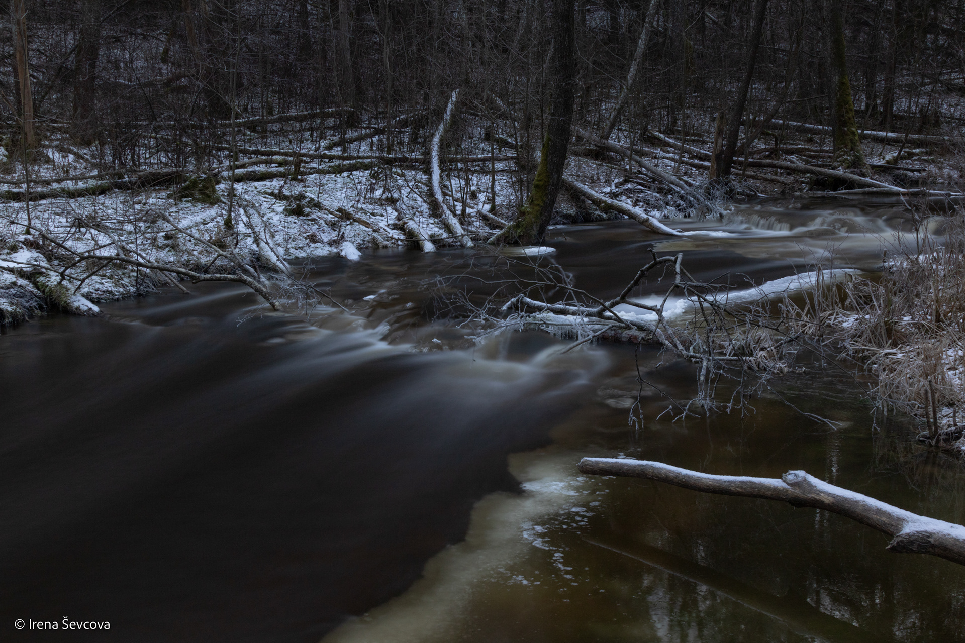 Beaver River/ Bebrų Upė