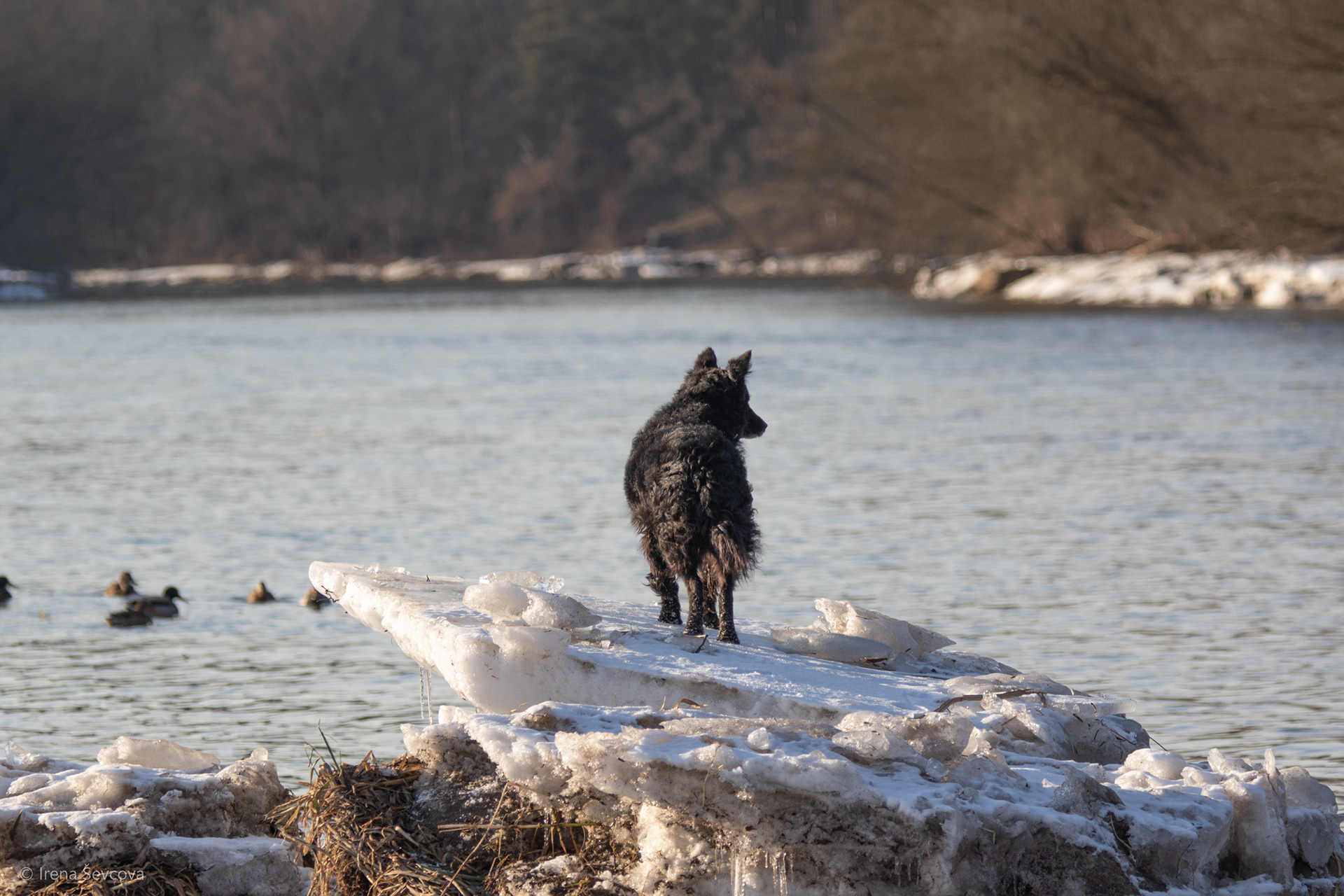 Navigation Started...