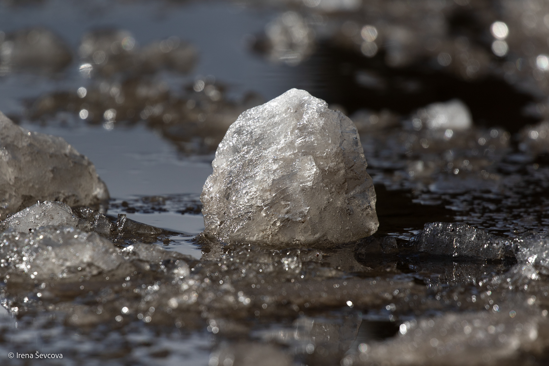 Diamond In Rough/ Deimantas Be Pjūvio