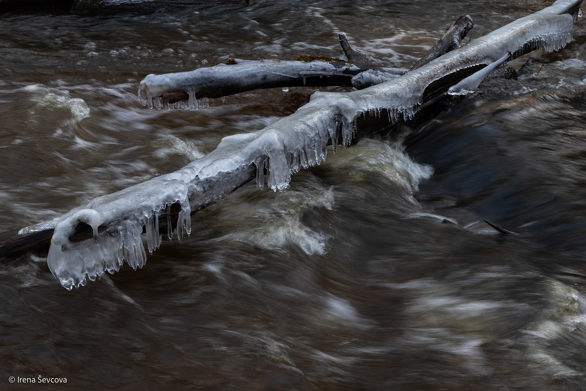 Waves Brushing/ Bangų Šukavimas