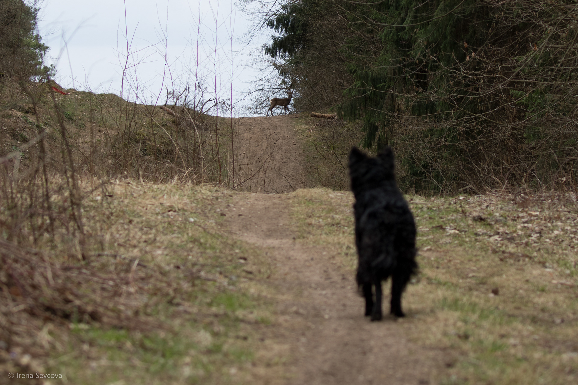 Ready Or Not, Here I Come