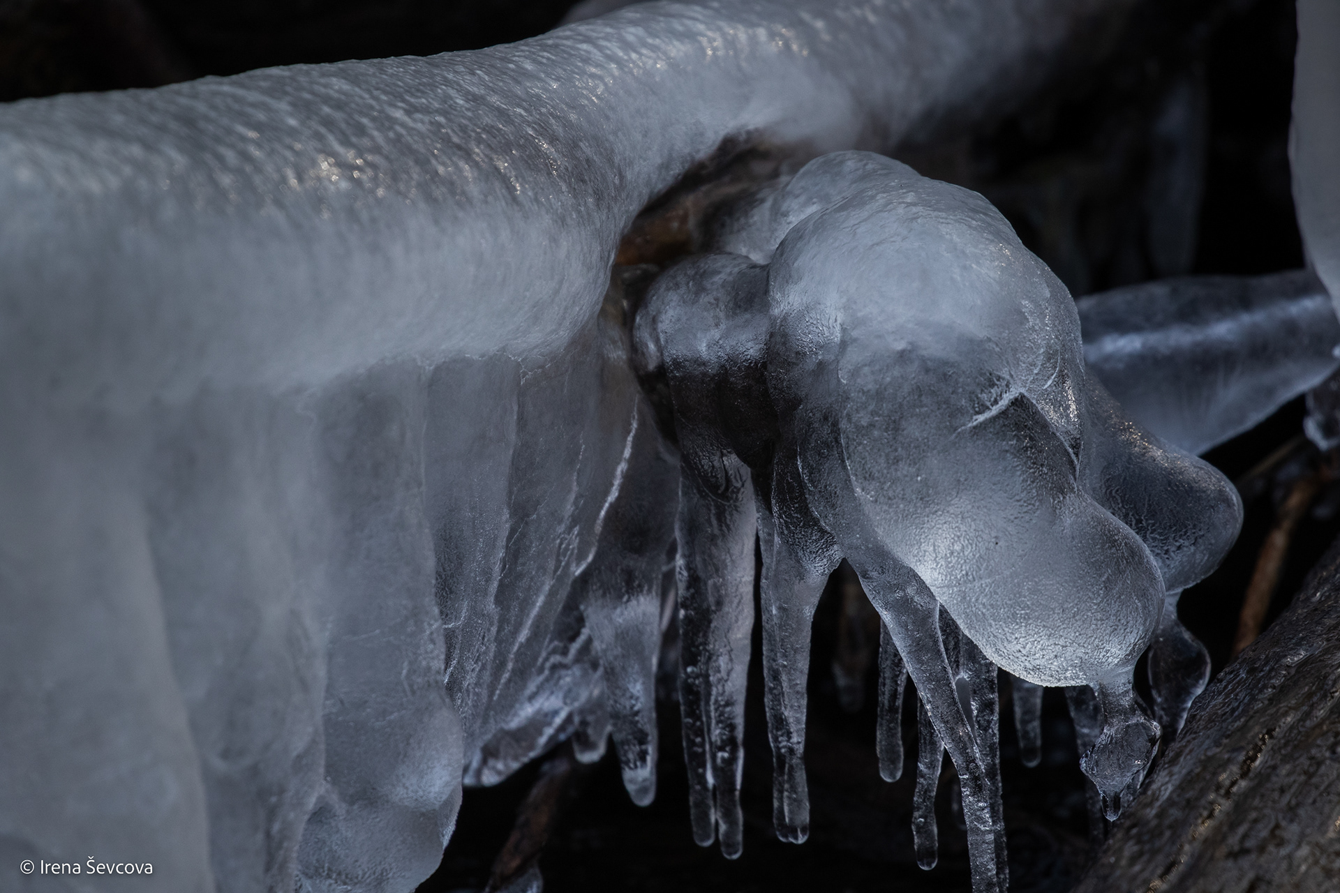 Curiosity/ Smalsumas