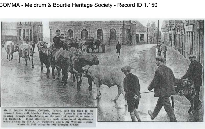 
        Collynie - Herd 1930
       