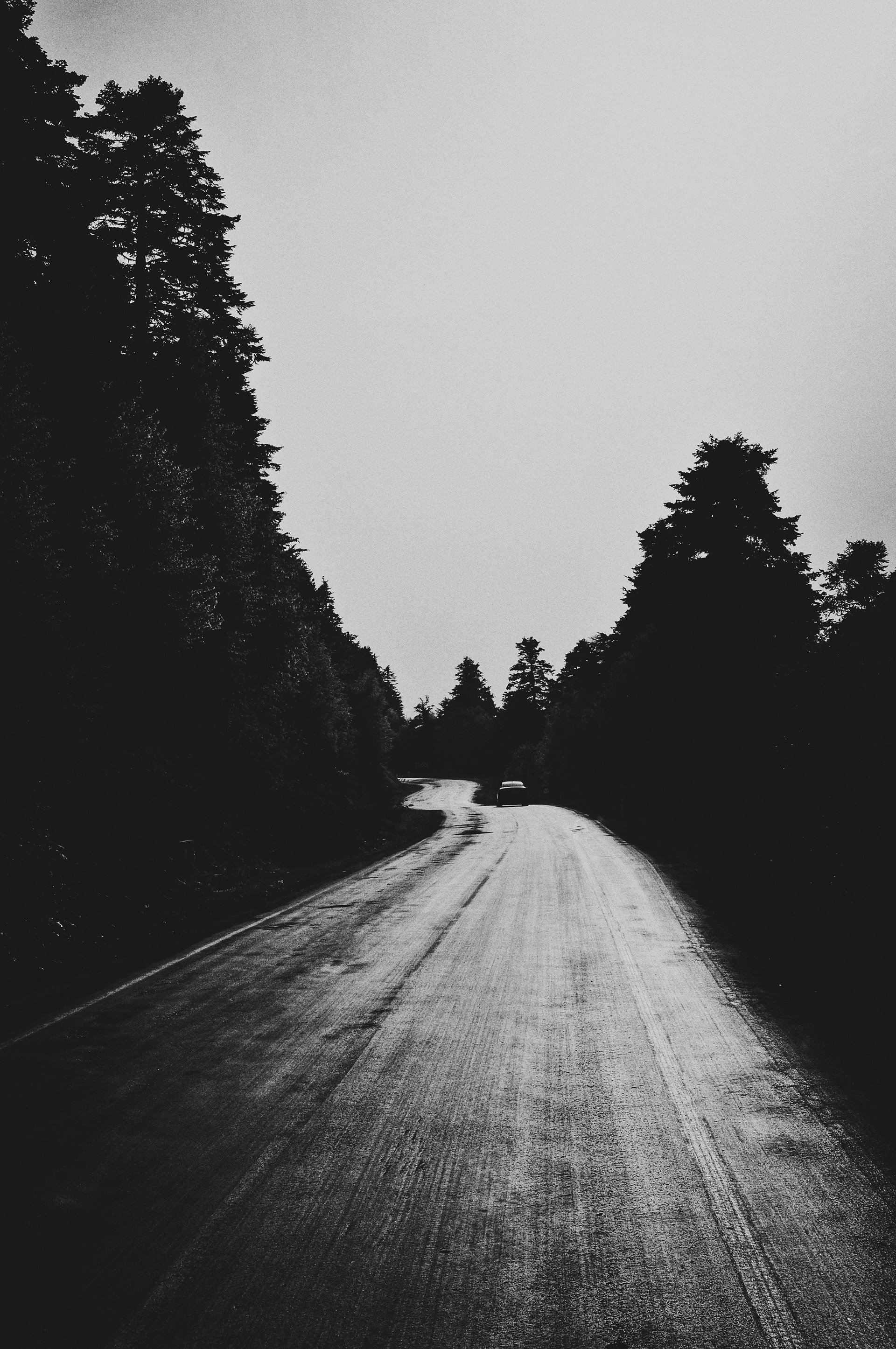 Bir yolculuğa çıkma vakti artık. 