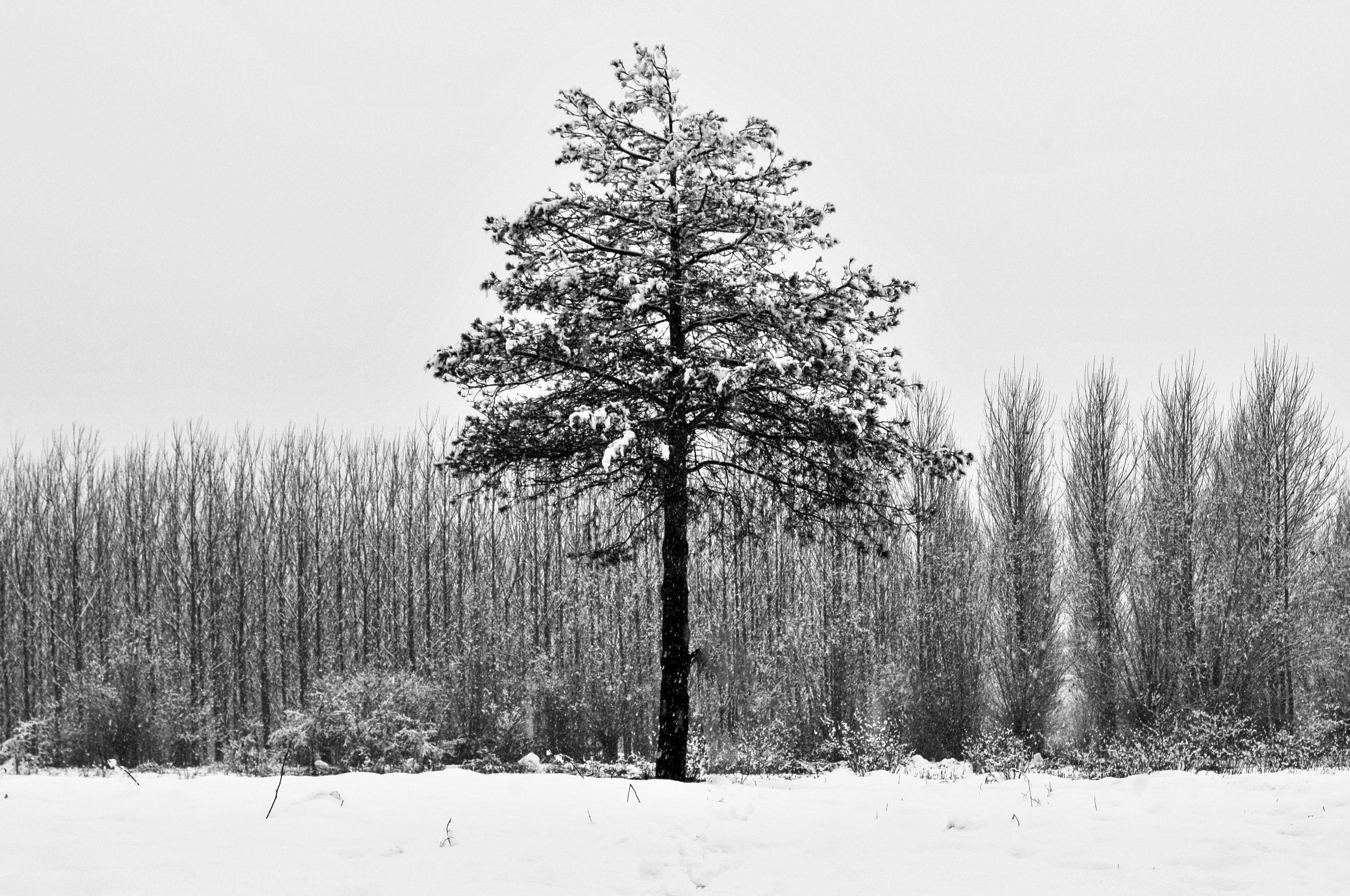 Ötekilerden farklı olduğumu hissediyorum. 