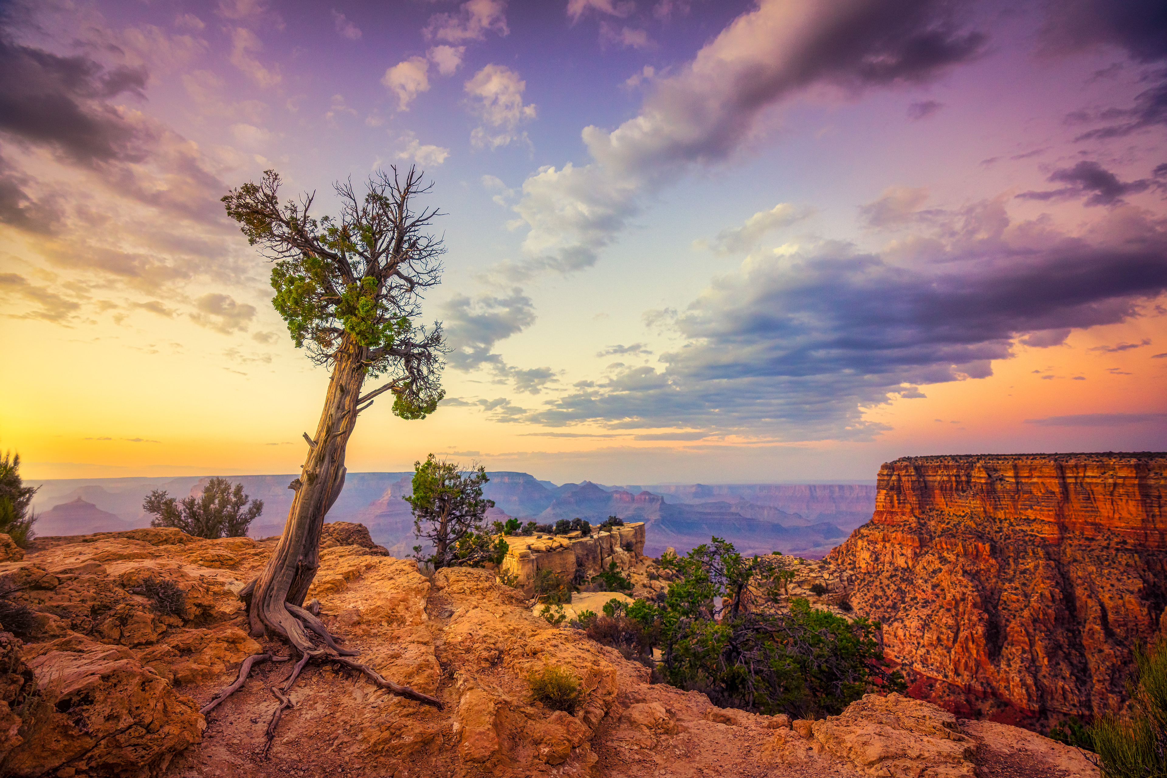 Grand Canyon